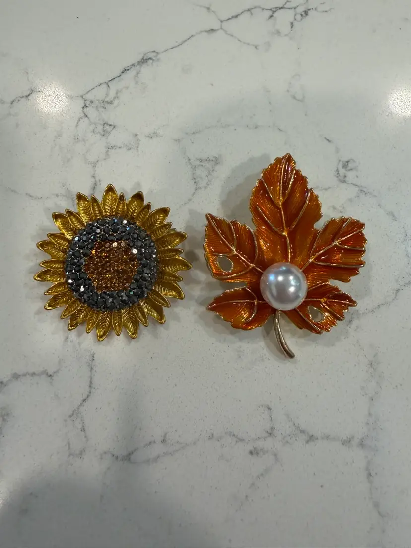 🪺Set Of 2 Vintage Pins