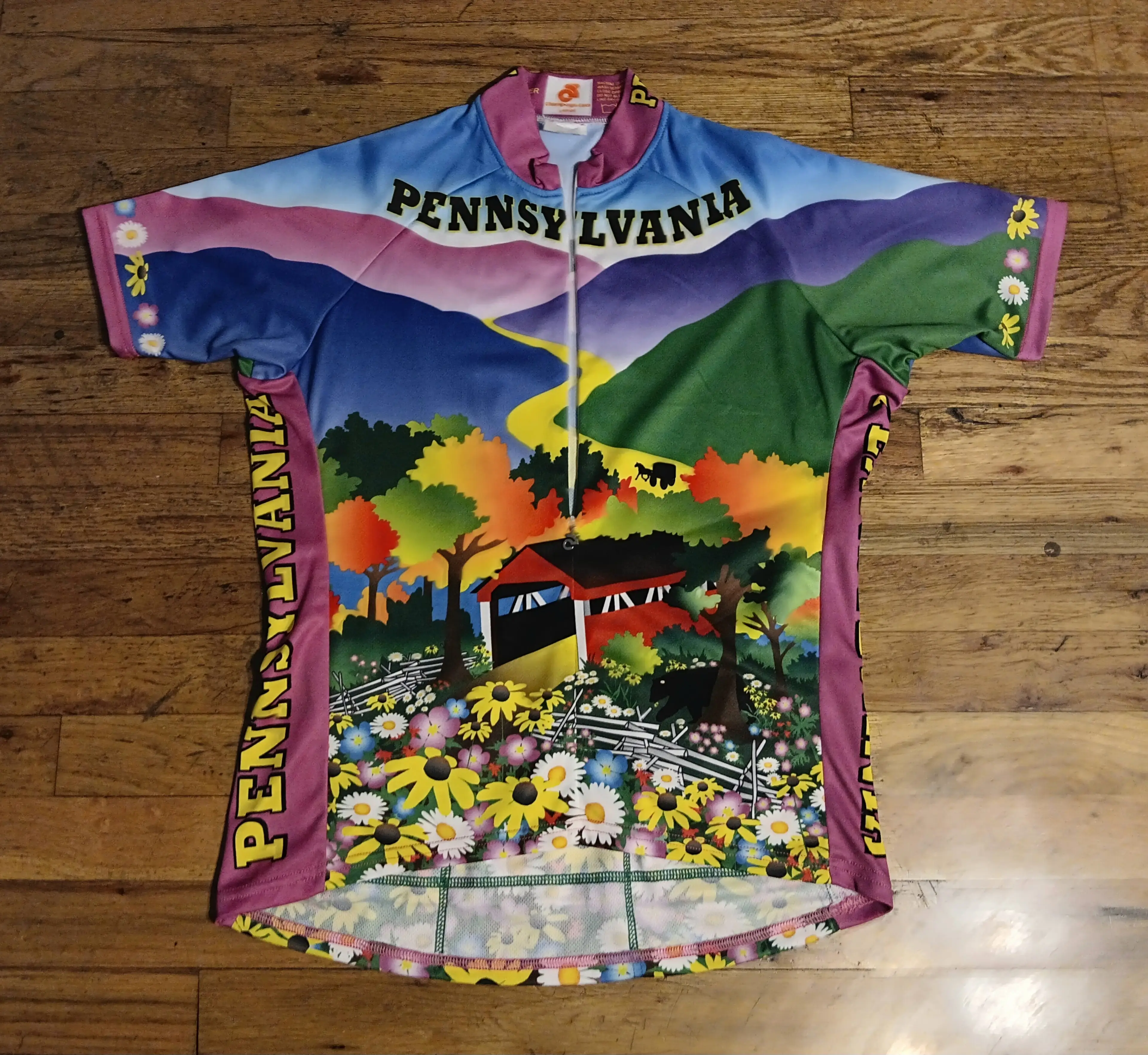 Image 4 of 10