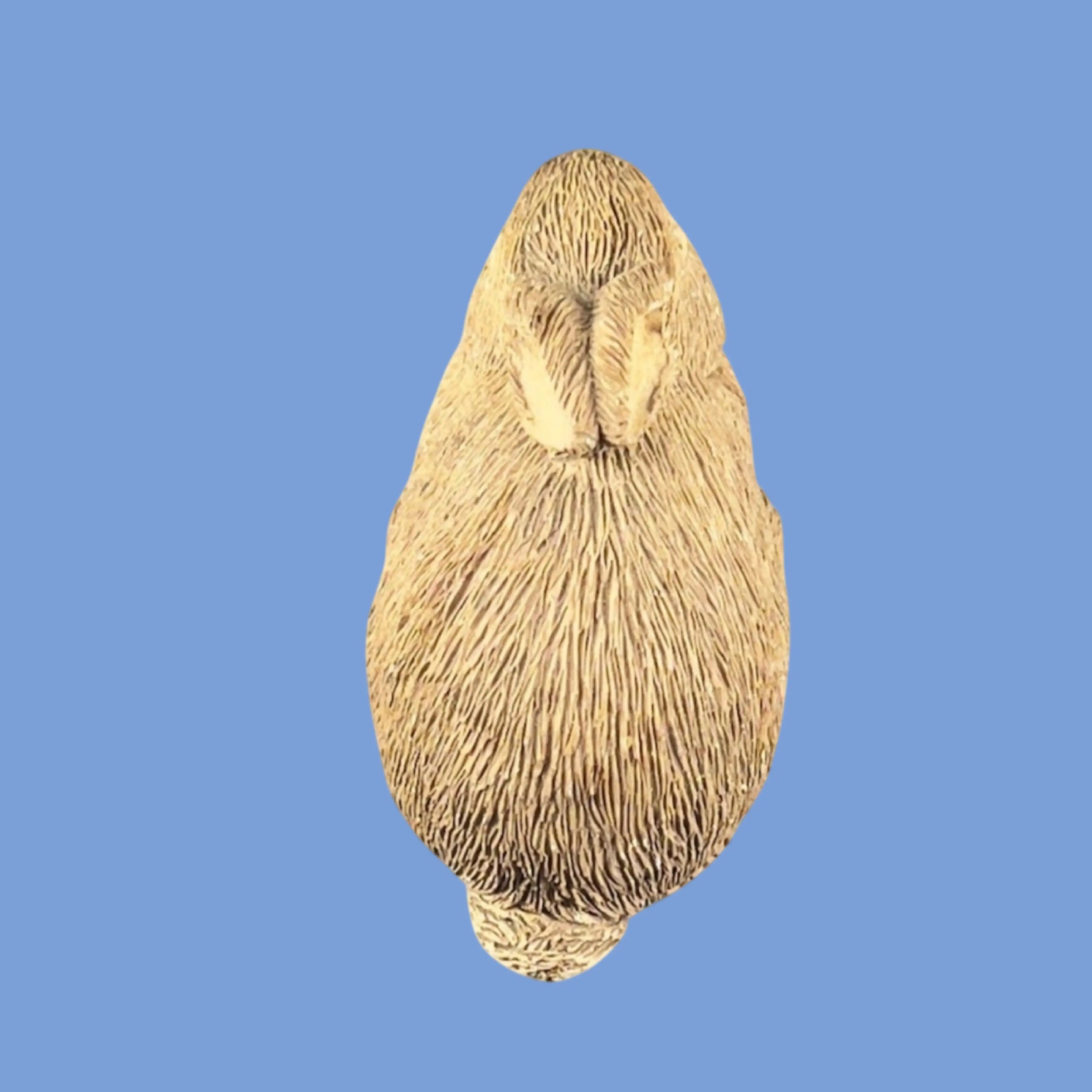 Image 5 of 9