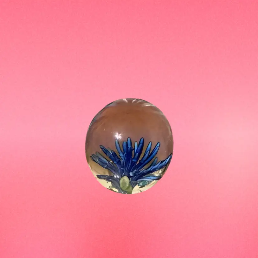Glass Sea Anemone Paperweight