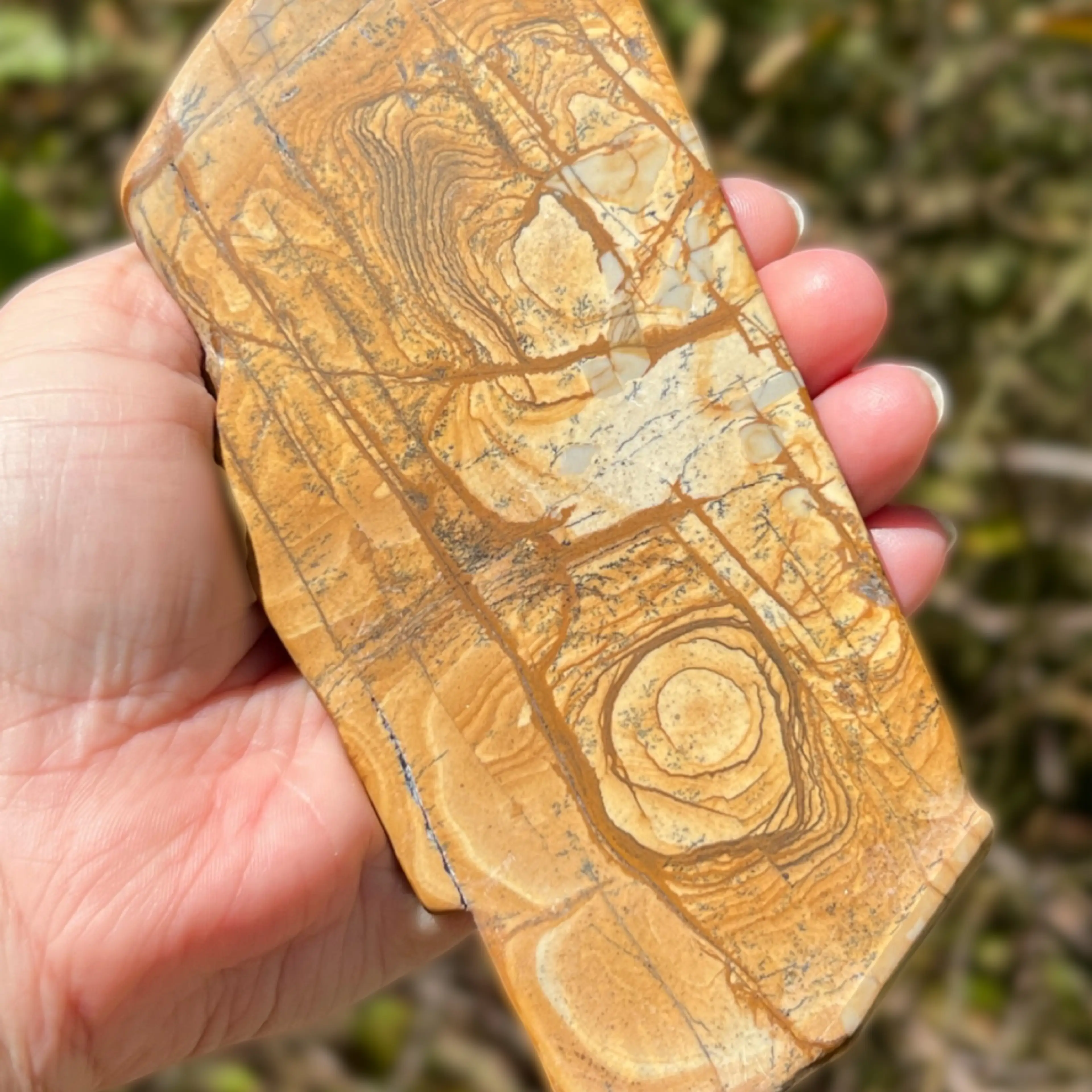 Image 2 of 10