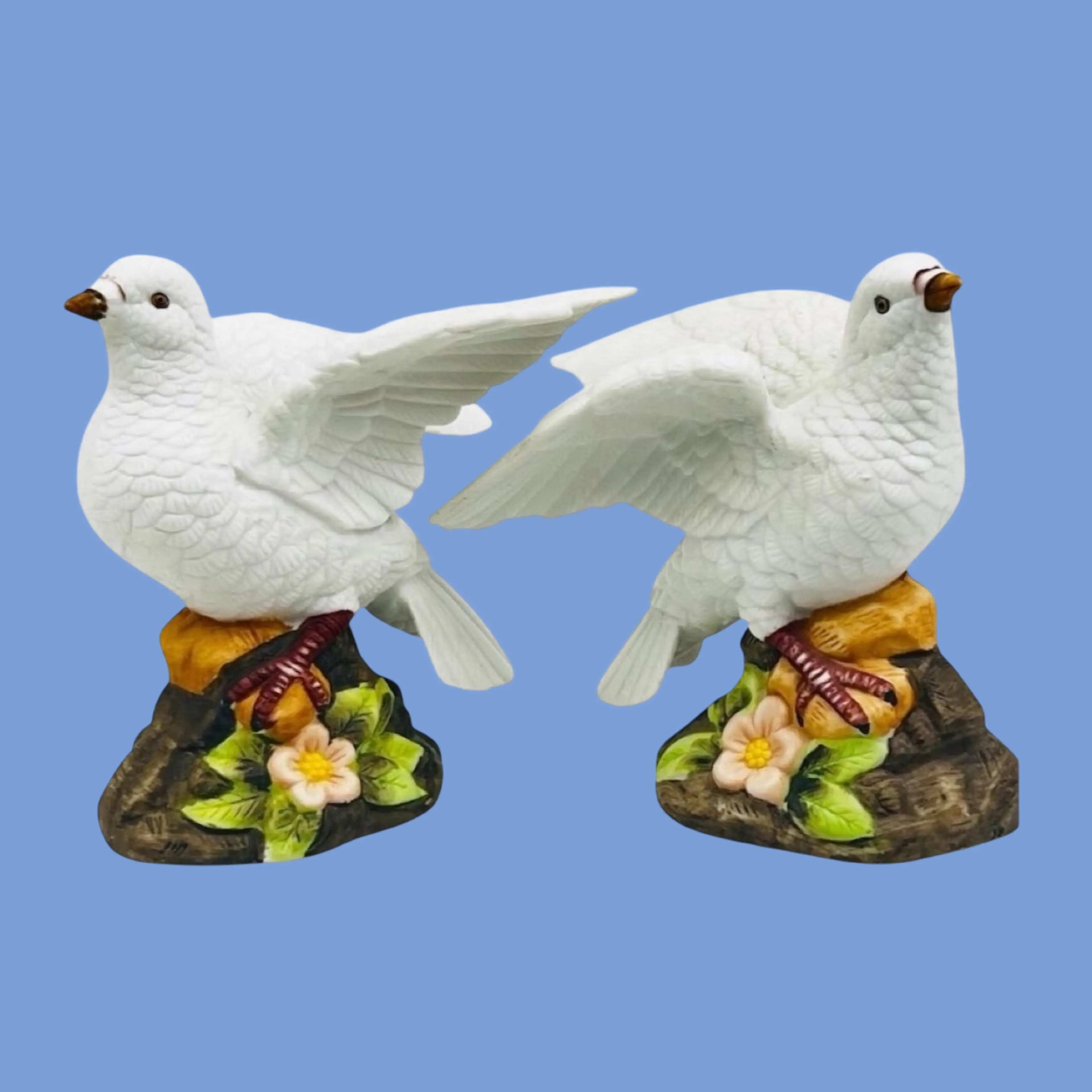 Image 1 of 12