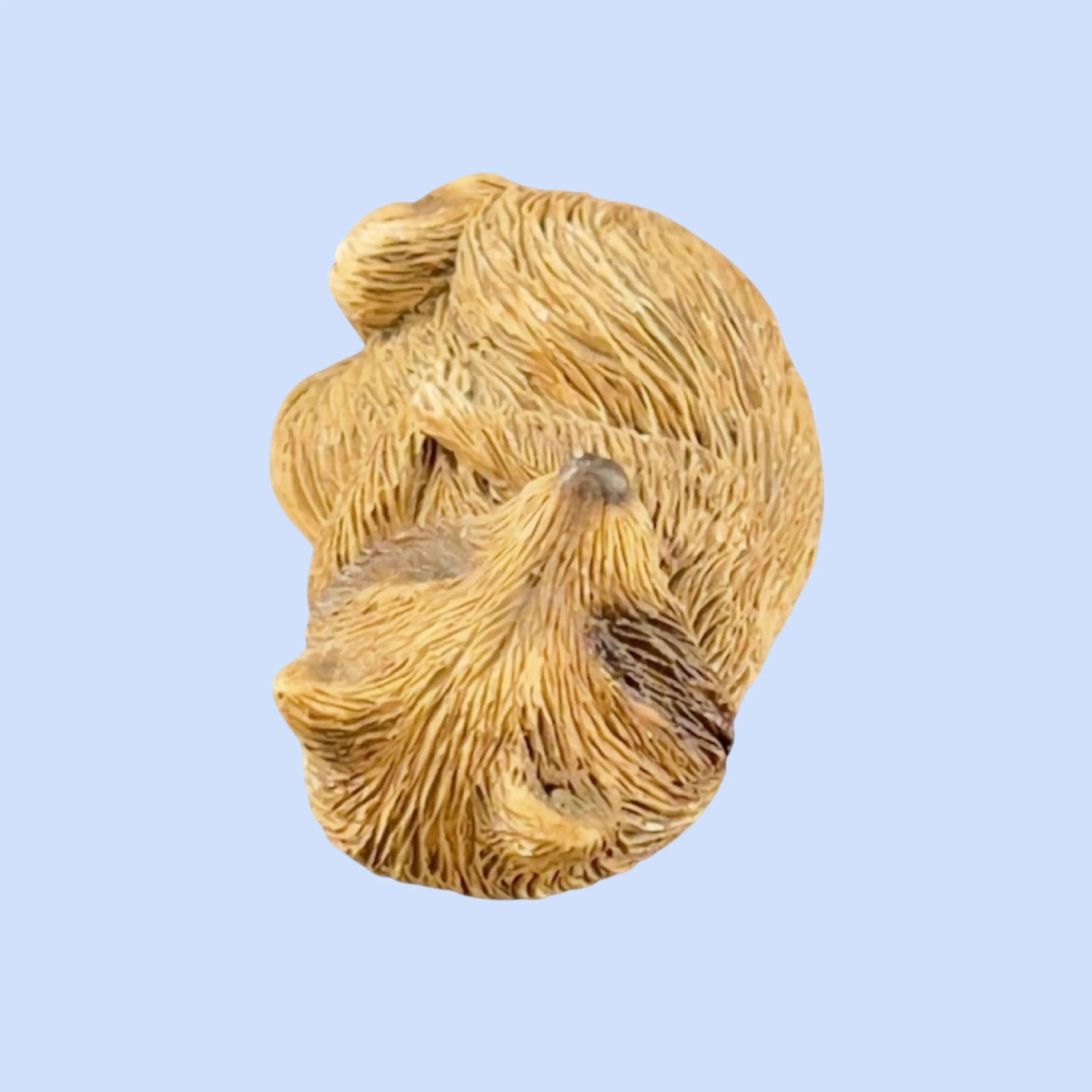 Image 4 of 9