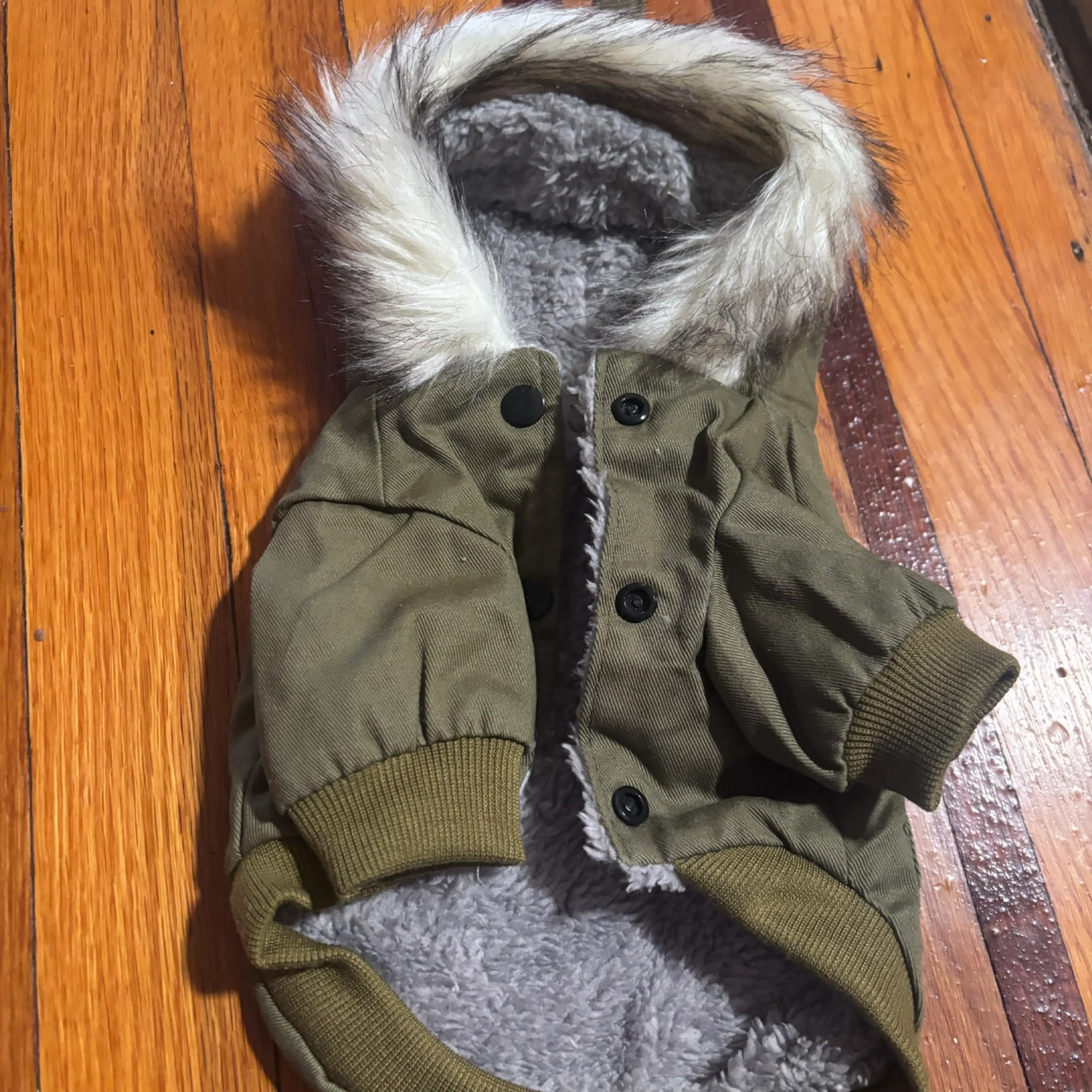 Image 1 of 5