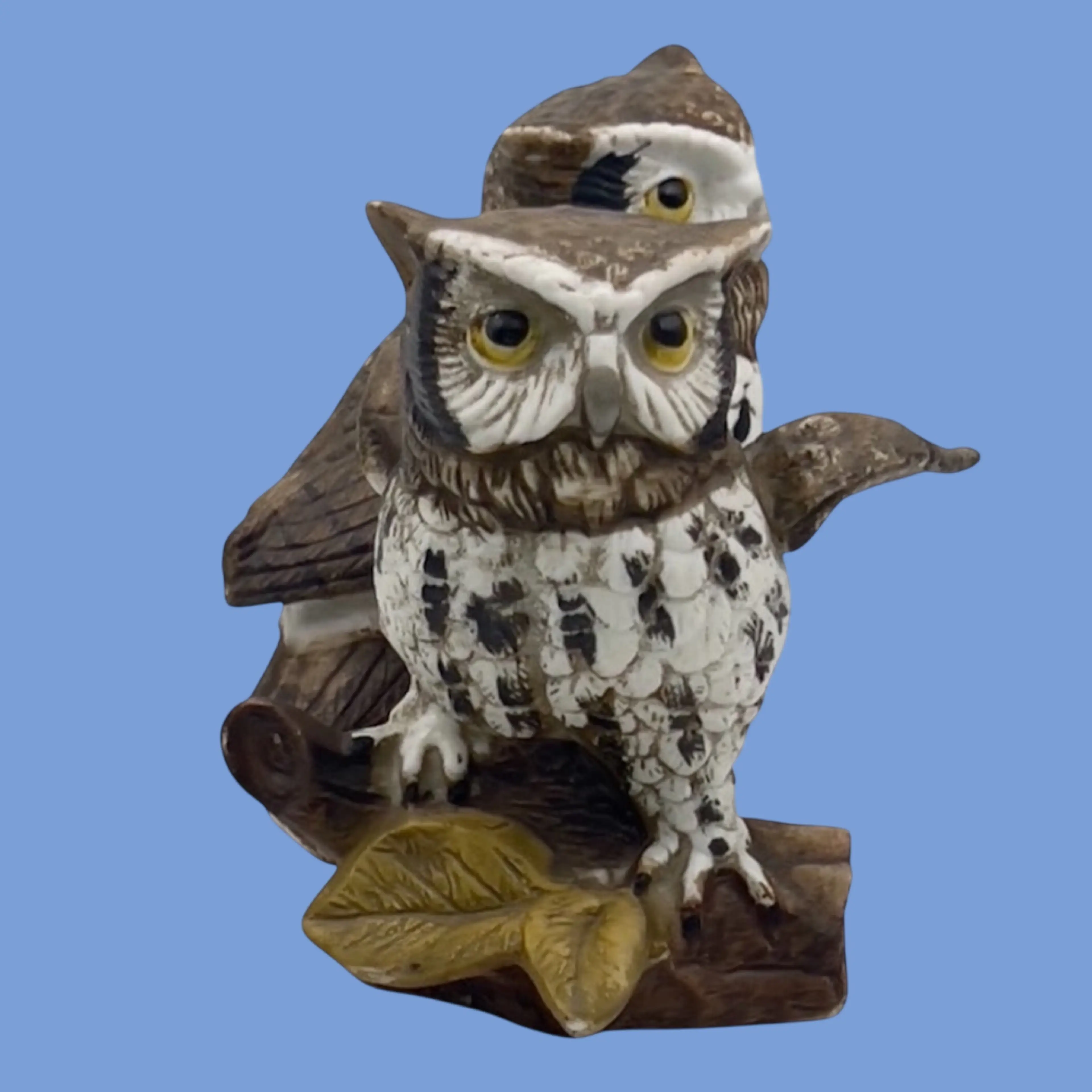 Image 4 of 6