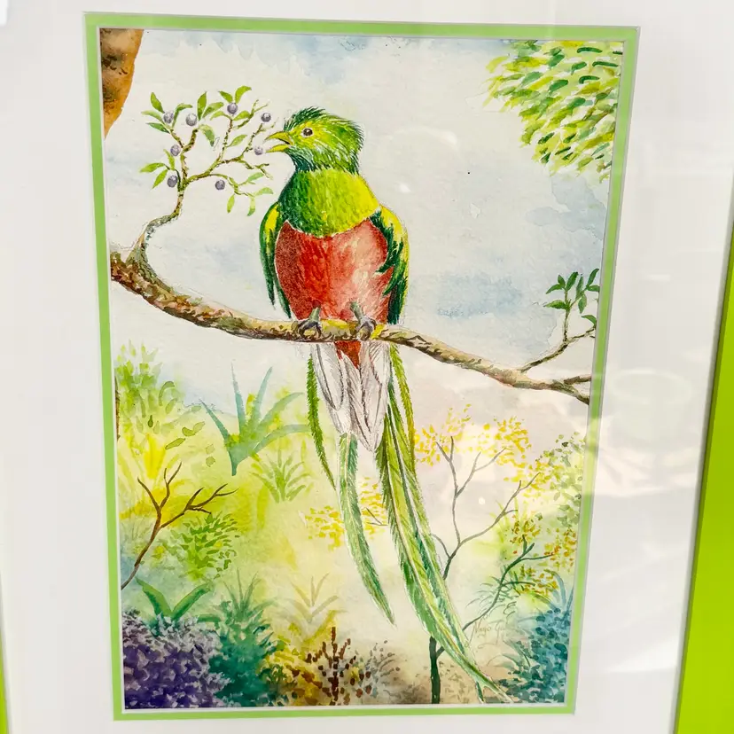 Guatemala: Vertical Watercolor & Color Pencil RESPLENDENT QUETZAL Art Work. 2003 Frame: 18.5”x15”