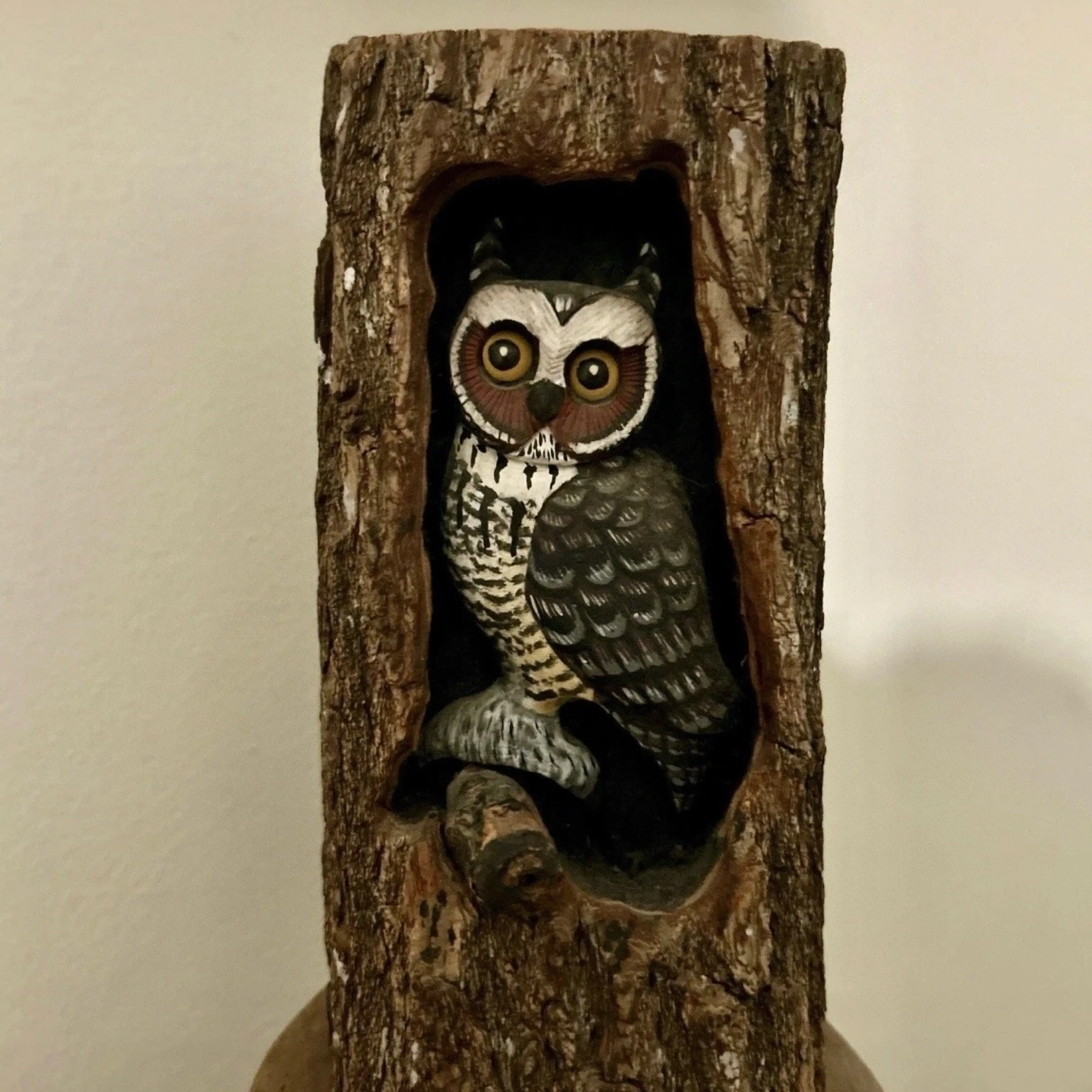 Image 2 of 5