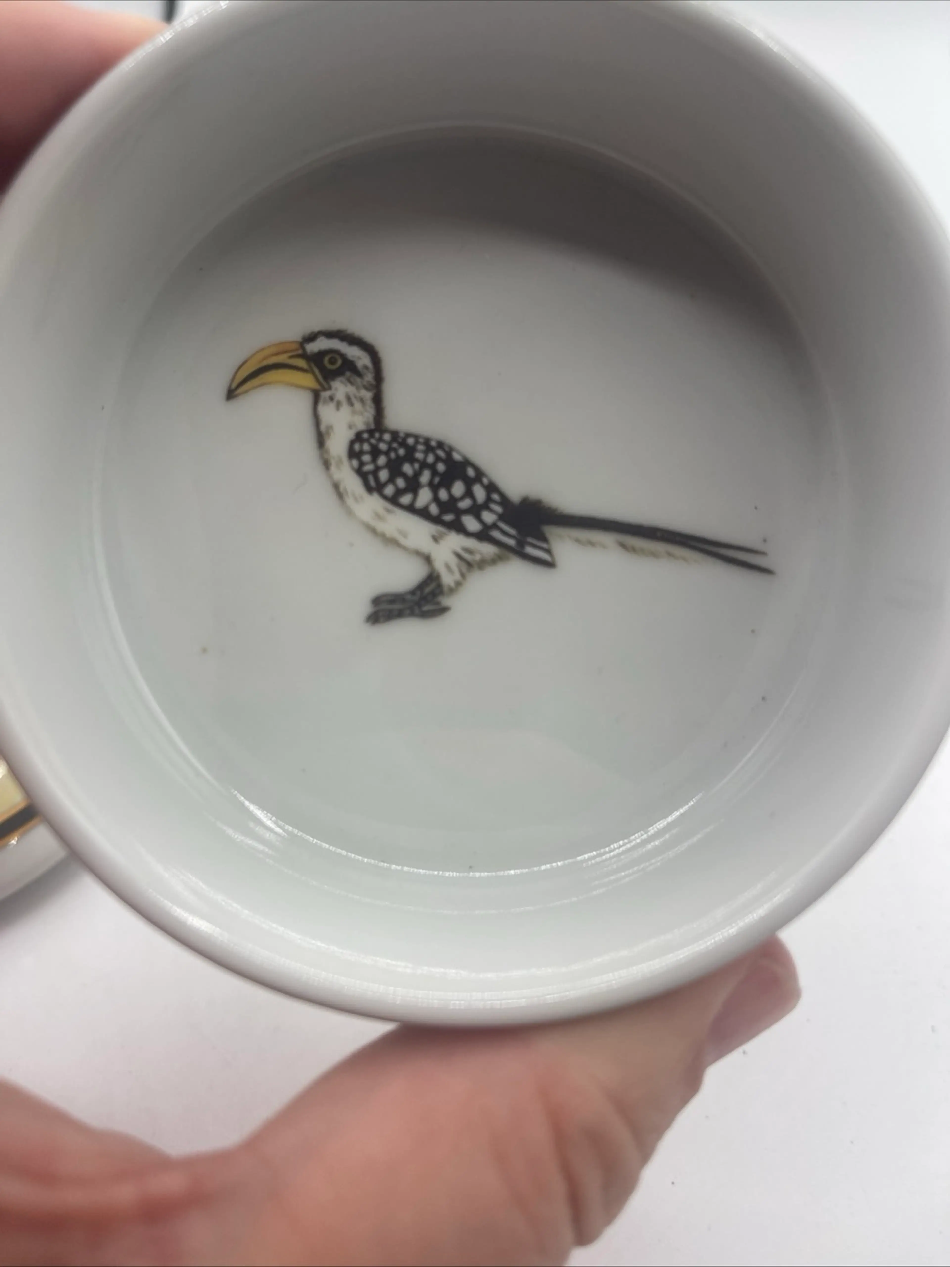 Image 4 of 12