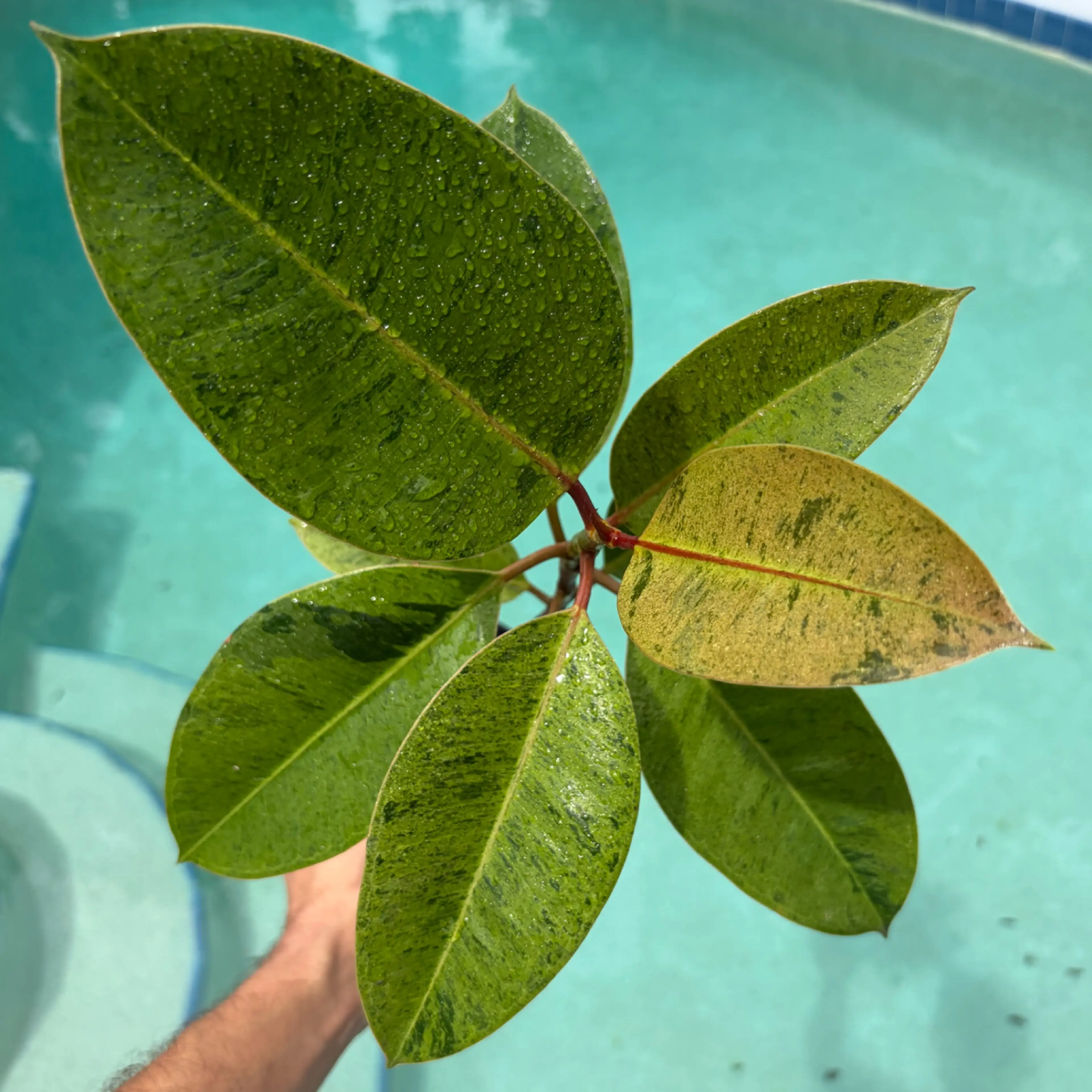 Image 1 of 3