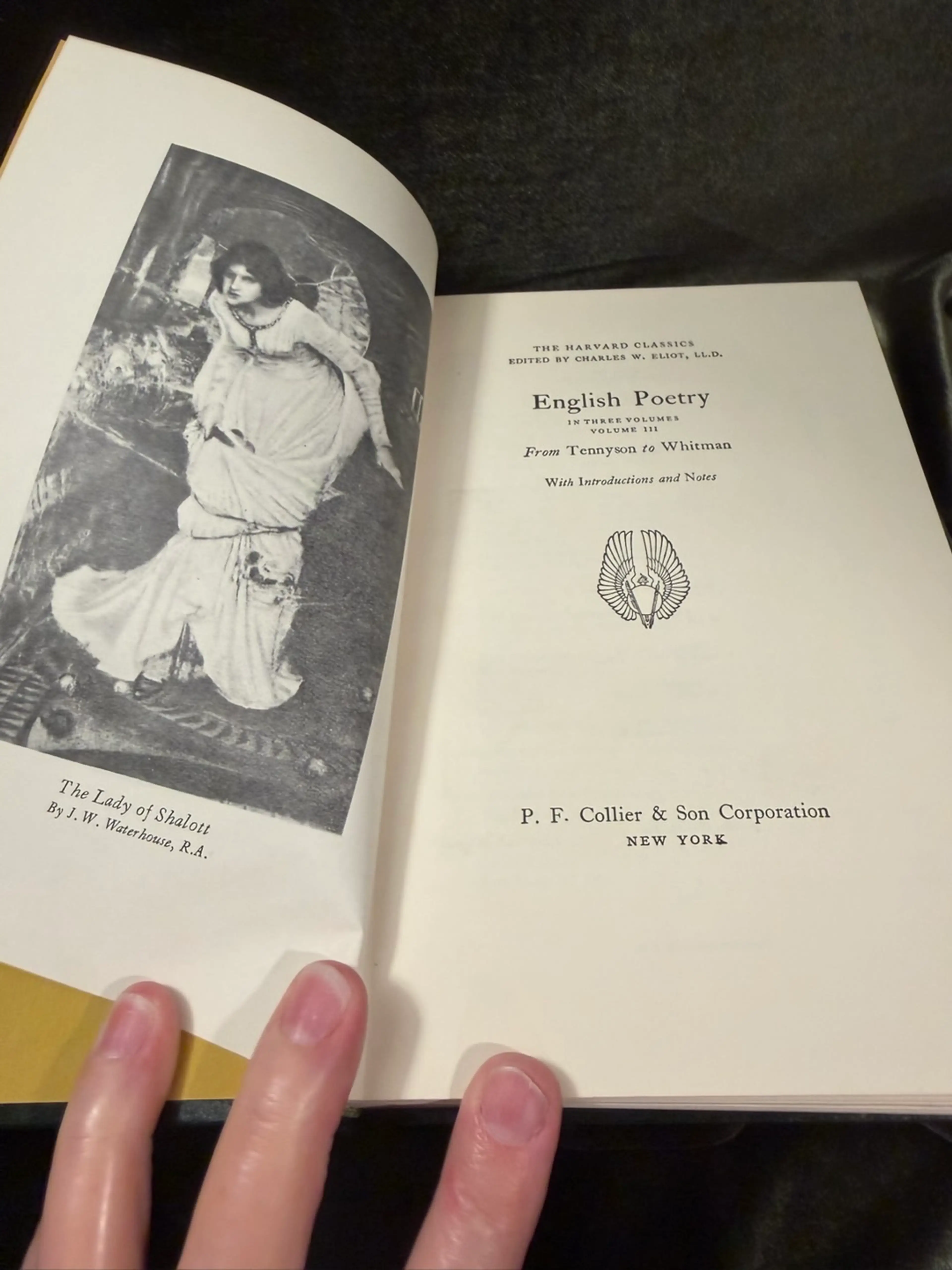 Image 3 of 6