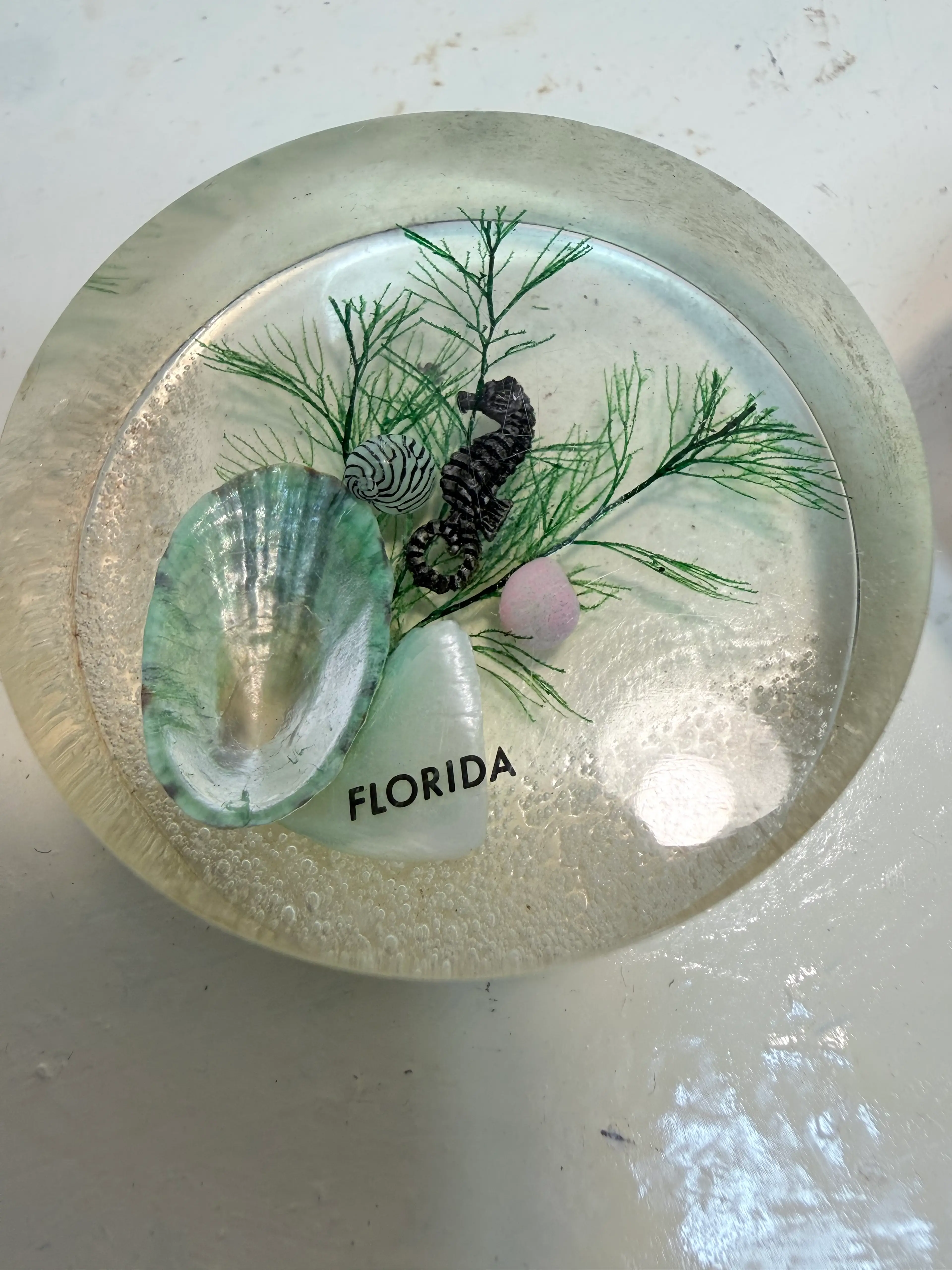 Image 5 of 5