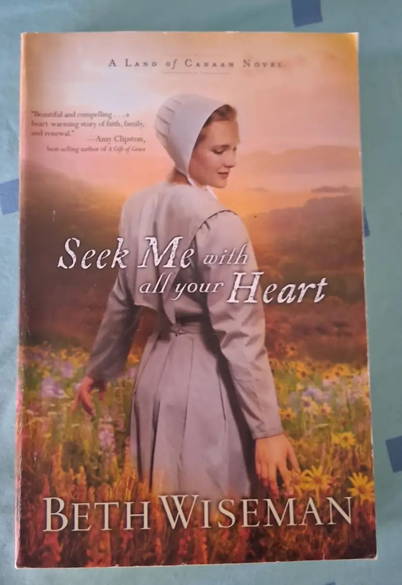 Christian Amish Fiction Book by Beth Wiseman, Hardcover