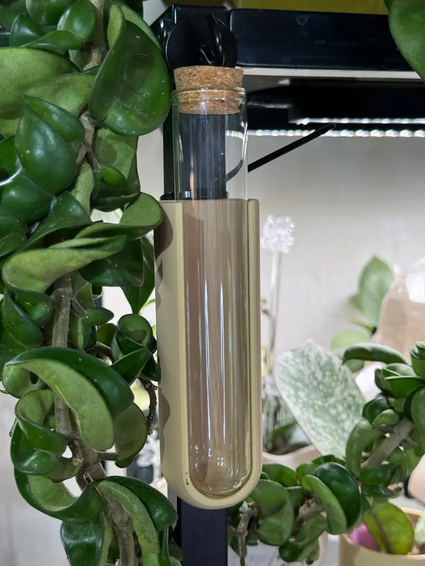 Propagation Test Tube Magnet - Camel - Includes Test Tube