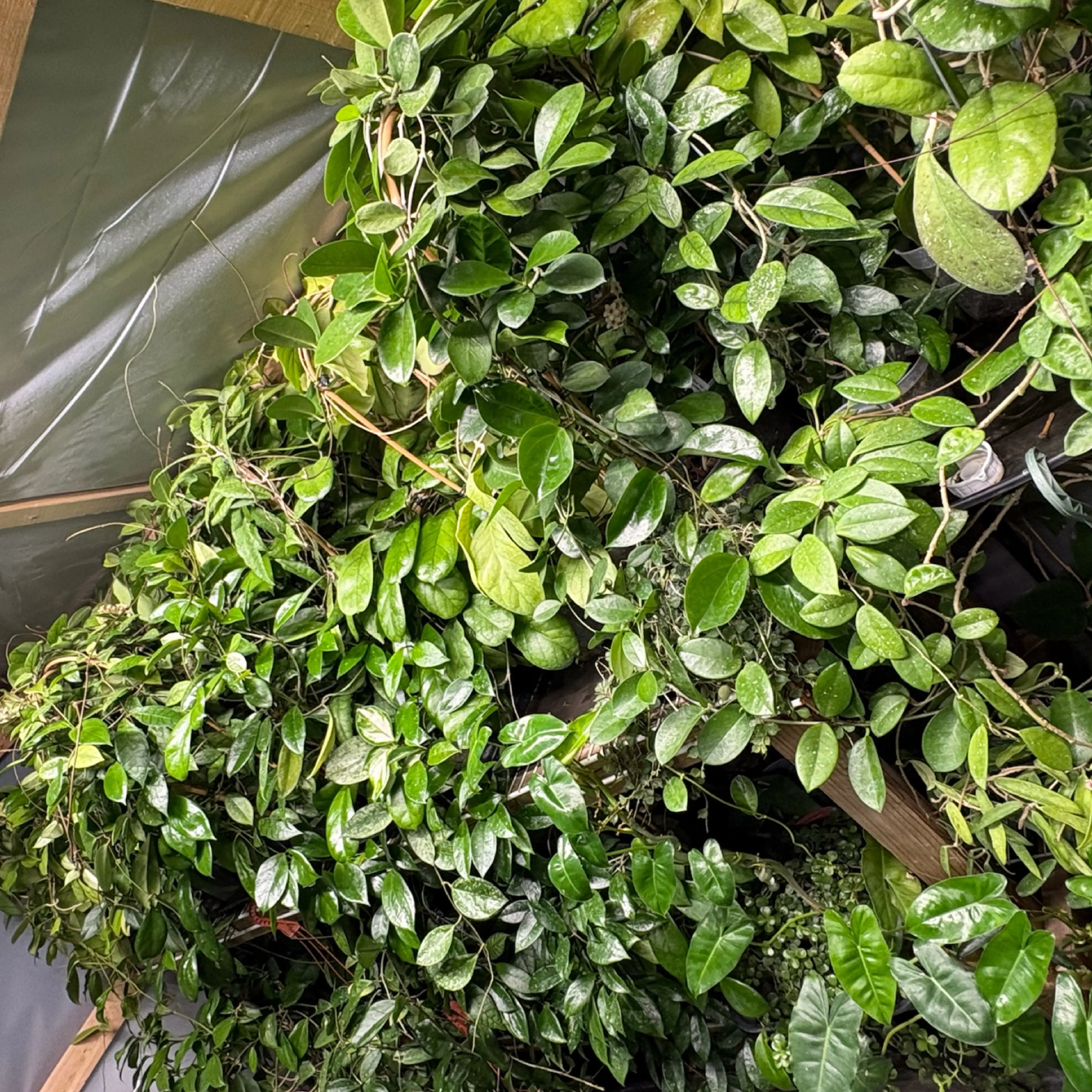 Image 2 of 6