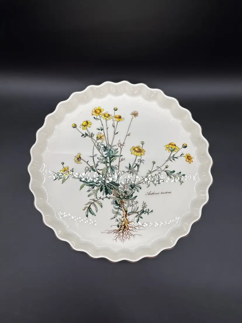 Villeroy & Boch Botanica 12" Quiche Dish Pie Plate Anthemis EUC