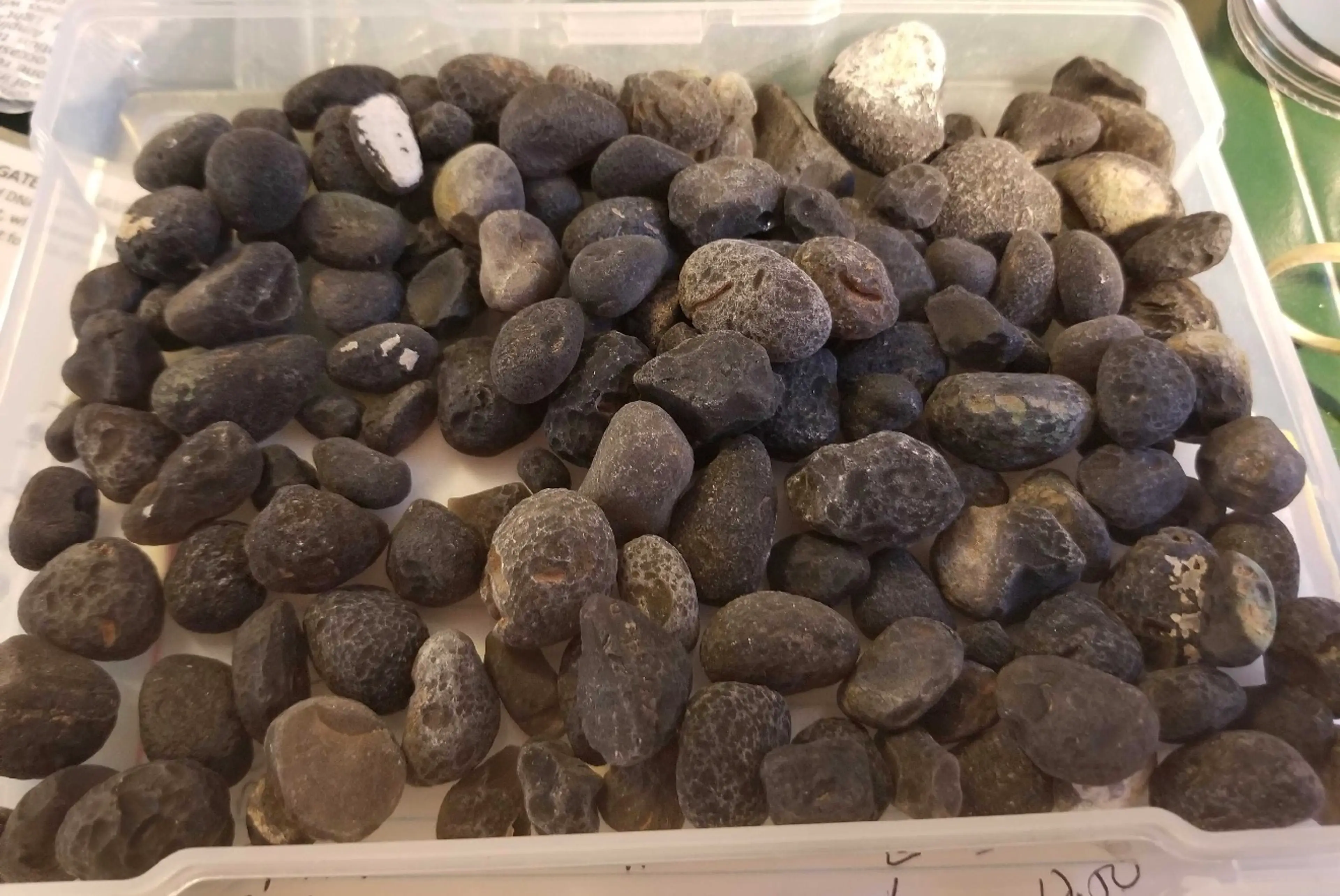Black and White Cintamani stones at High Ho Gems