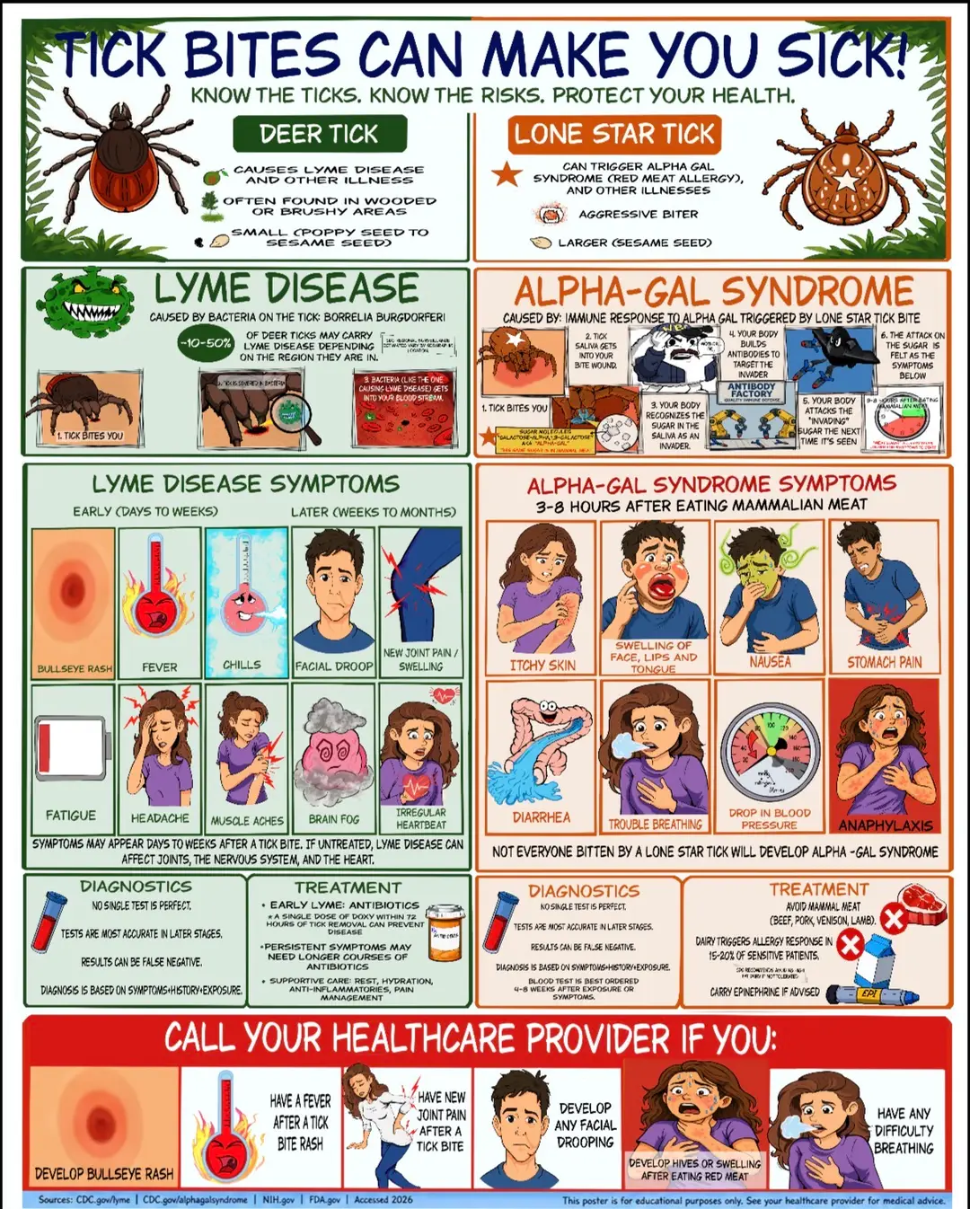 Tick Bite Poster | Lyme Disease, Alpha-Gal Syndrome Patient Education (Digital Download)