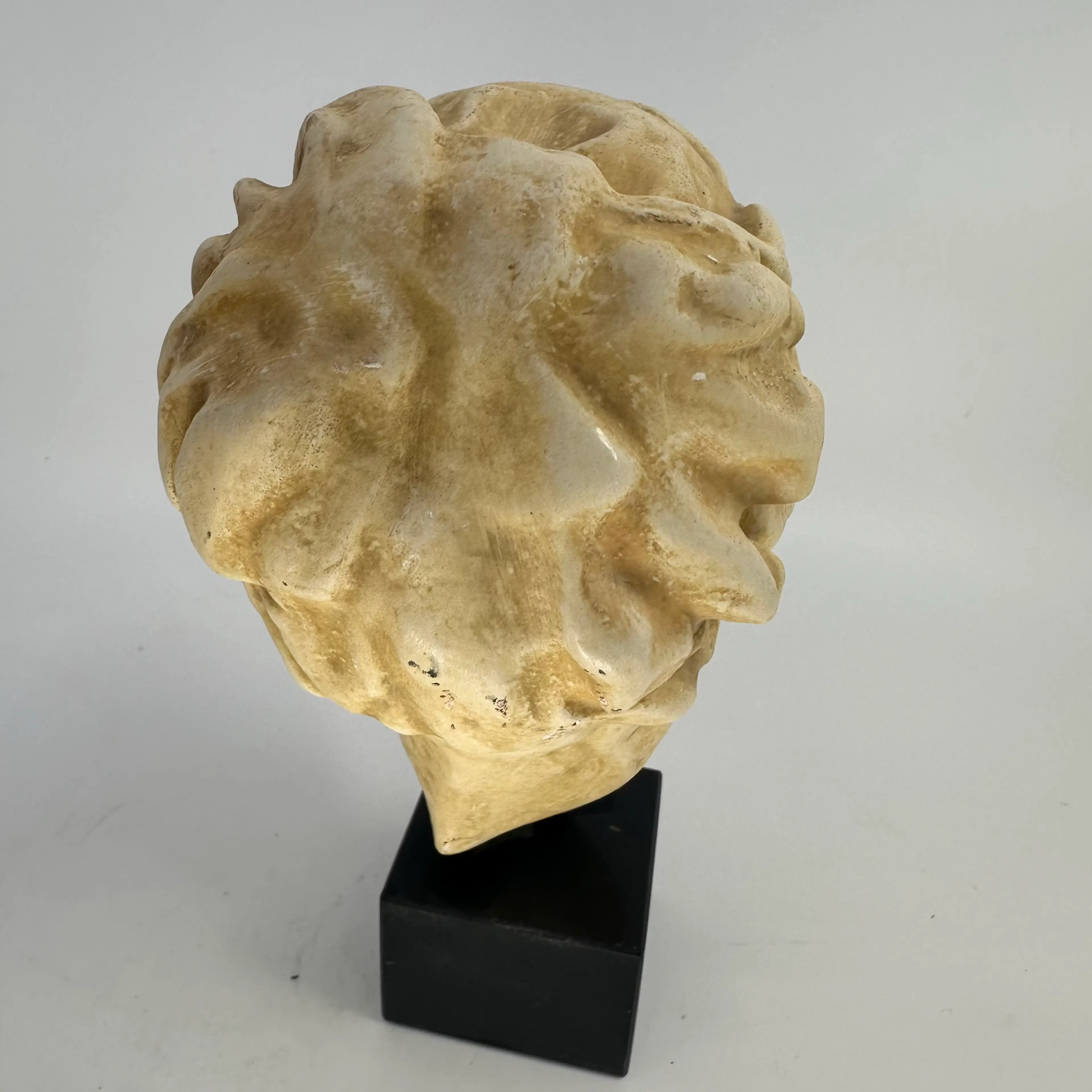 Image 4 of 7