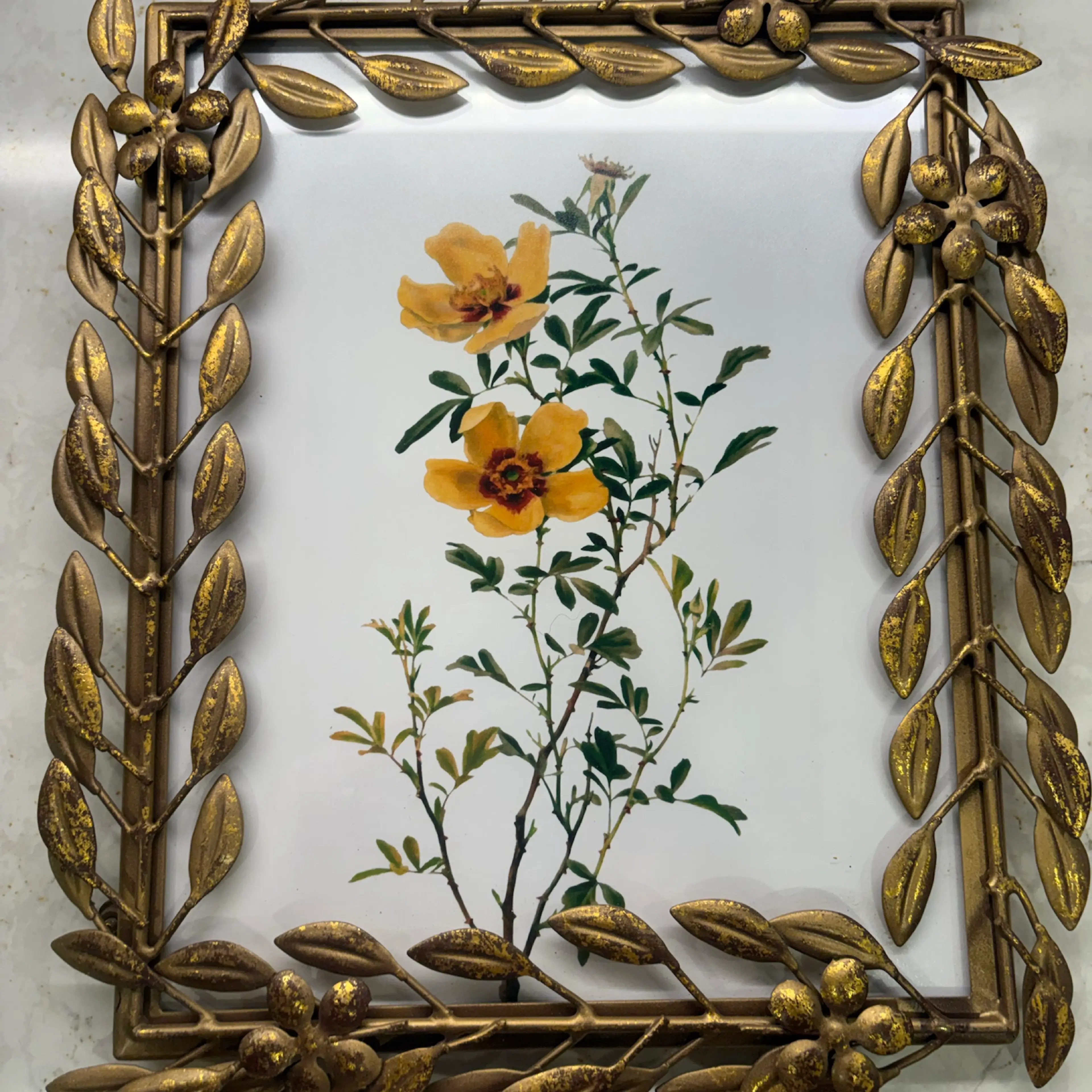 Image 2 of 12