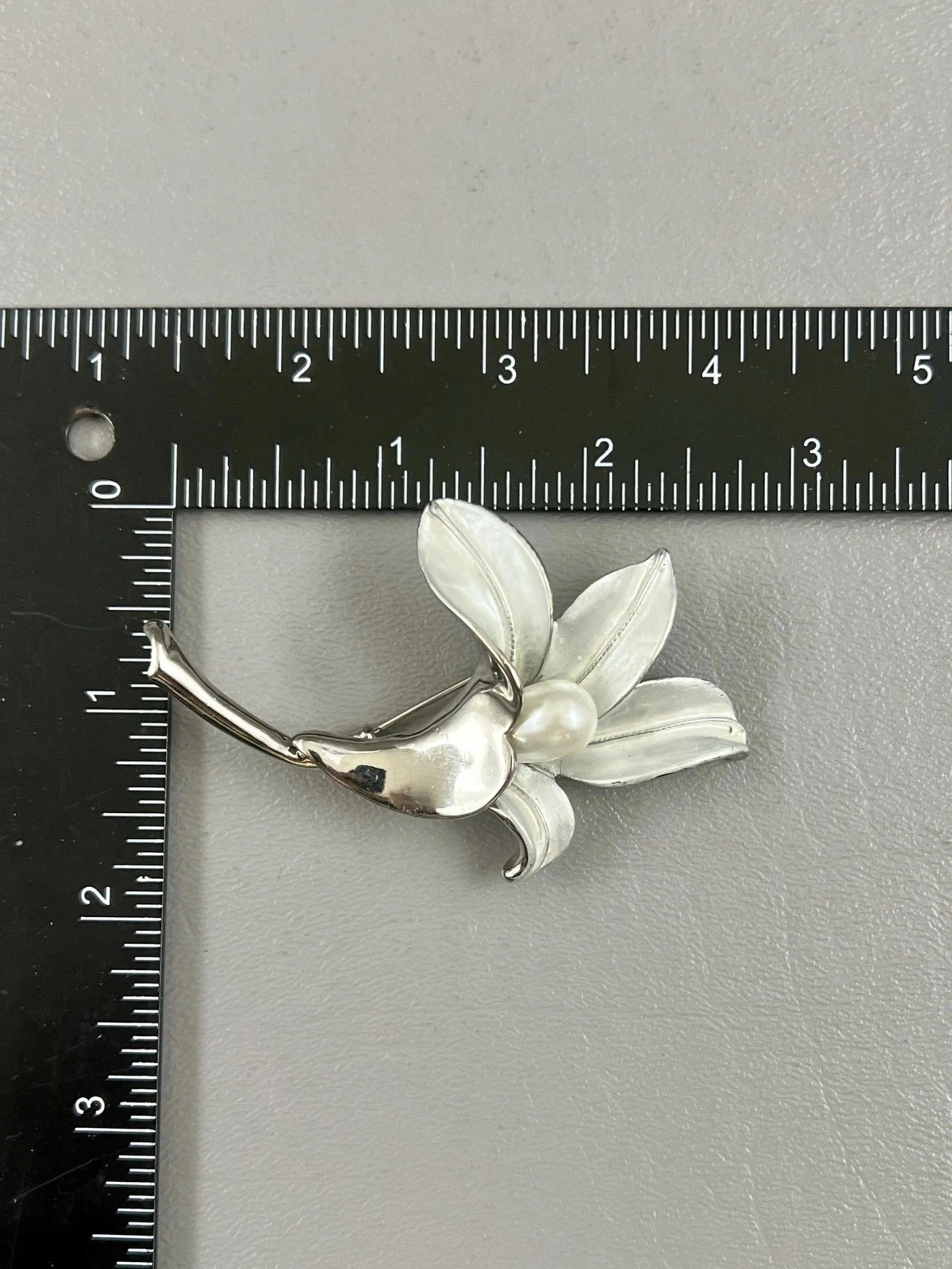 Image 2 of 4
