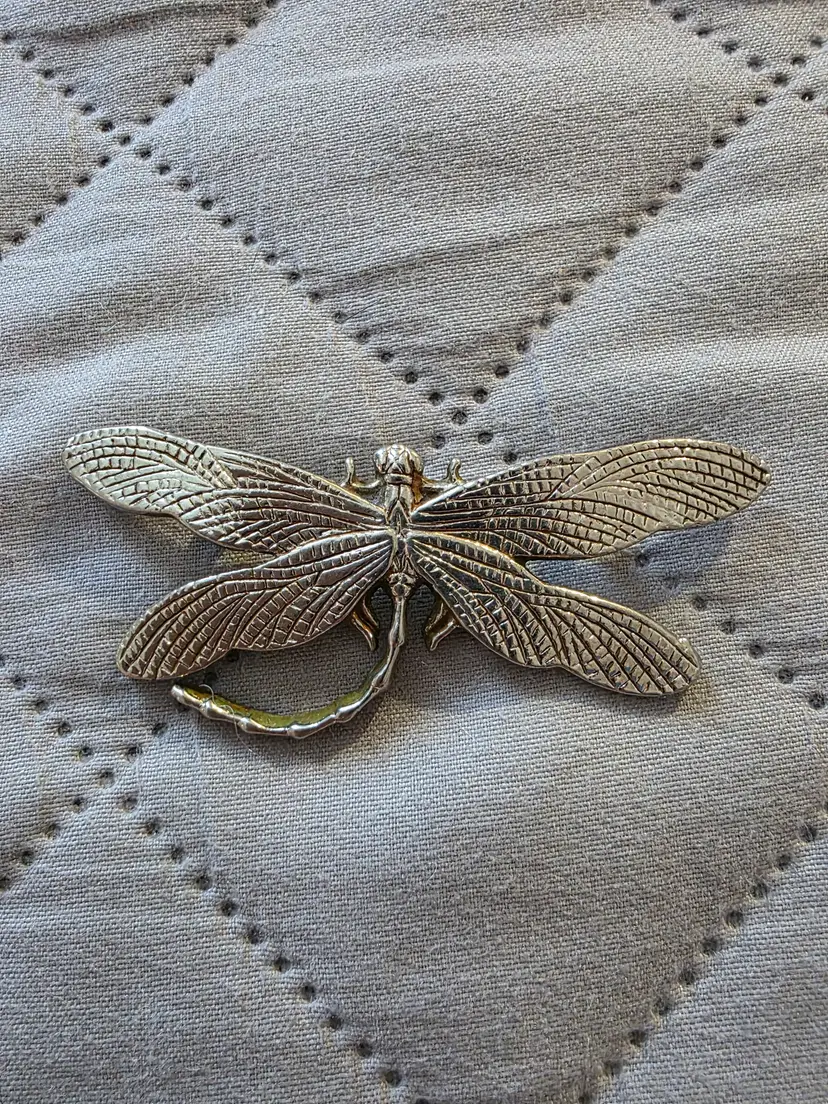 Silver-tone Metal Dragonfly Brooch featuring Intricately Textured Wings