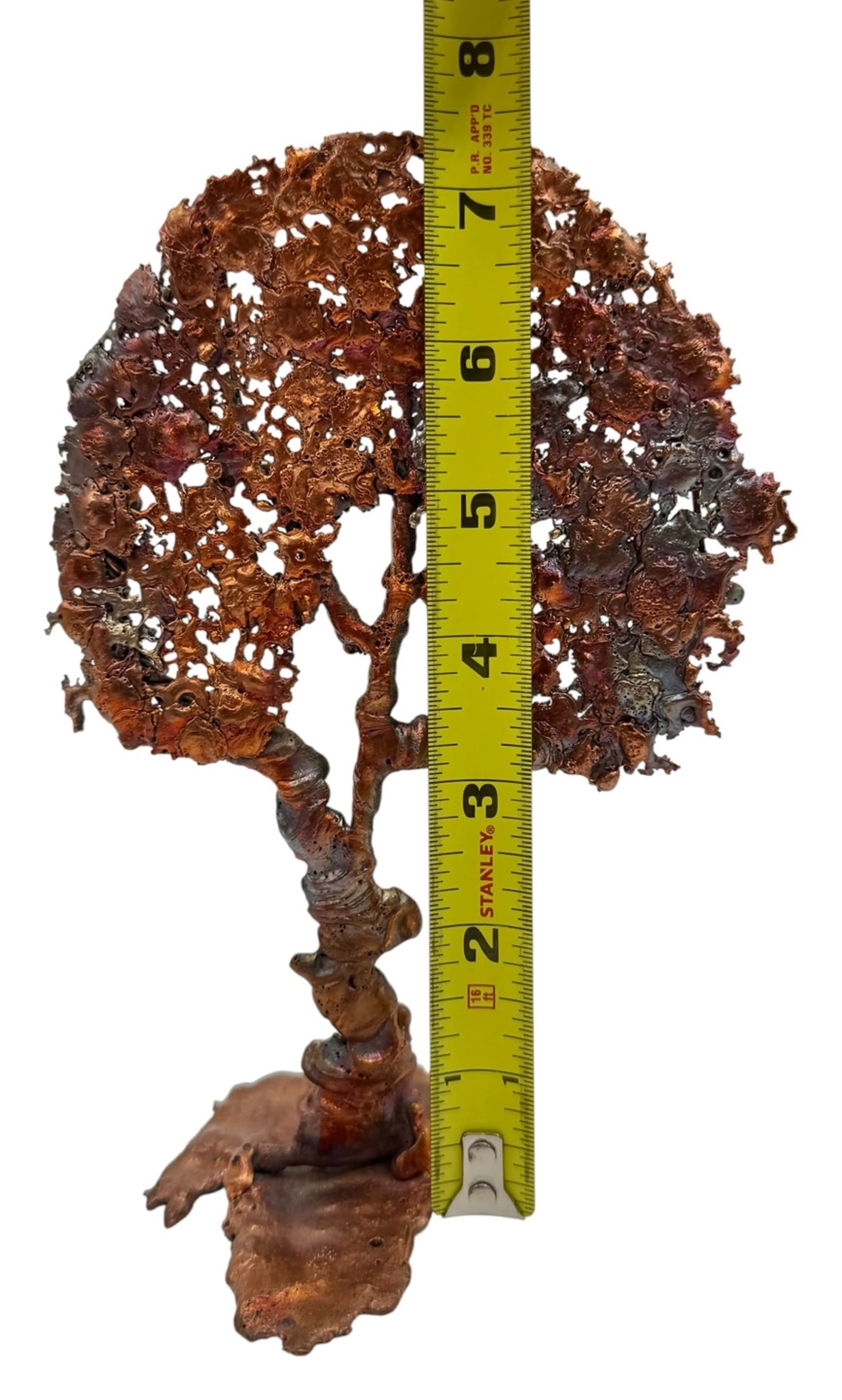 Image 5 of 5