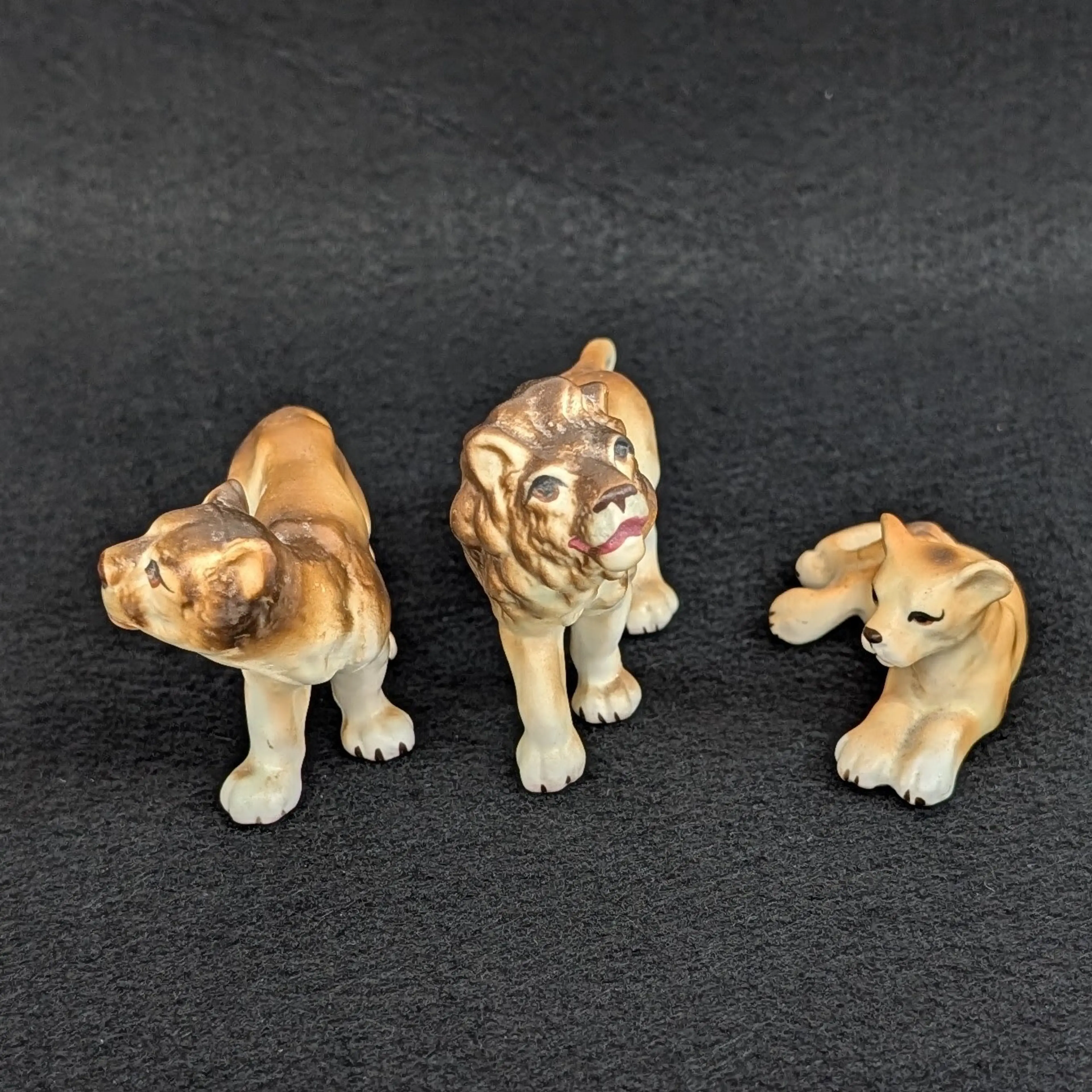 Image 4 of 12