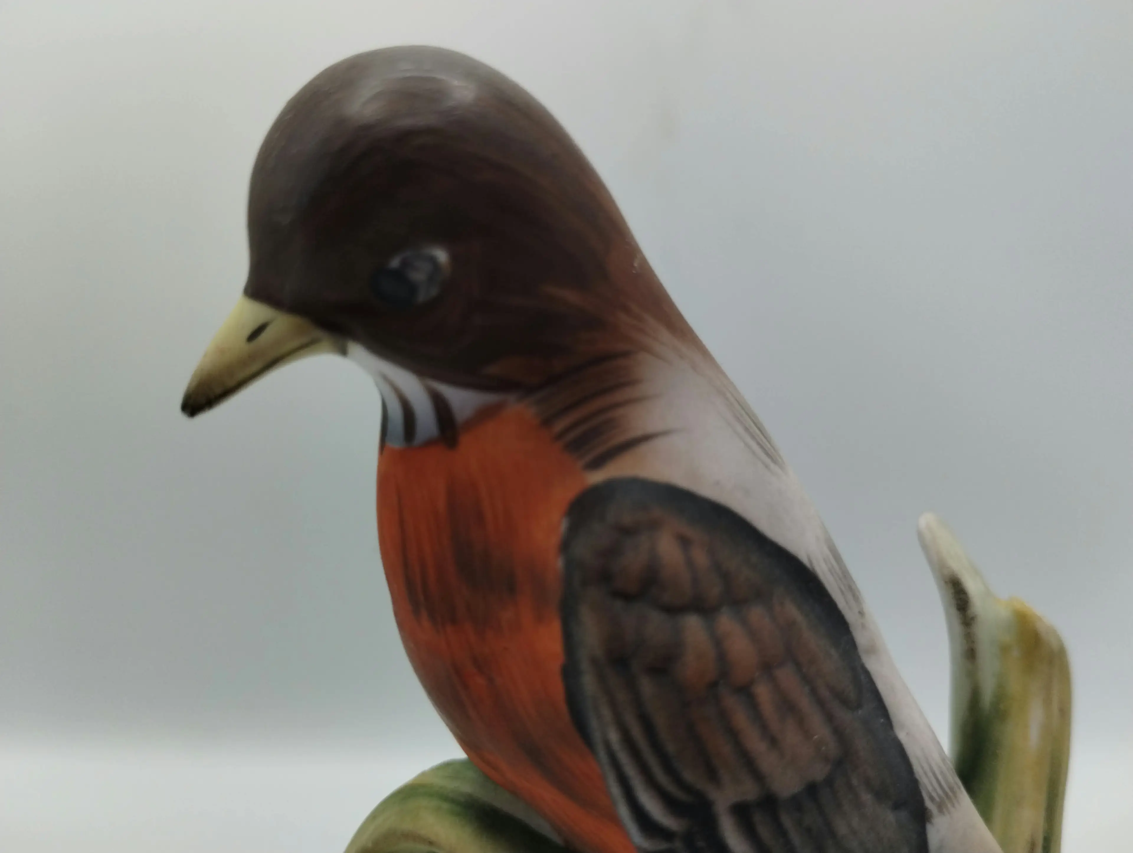 Image 5 of 8
