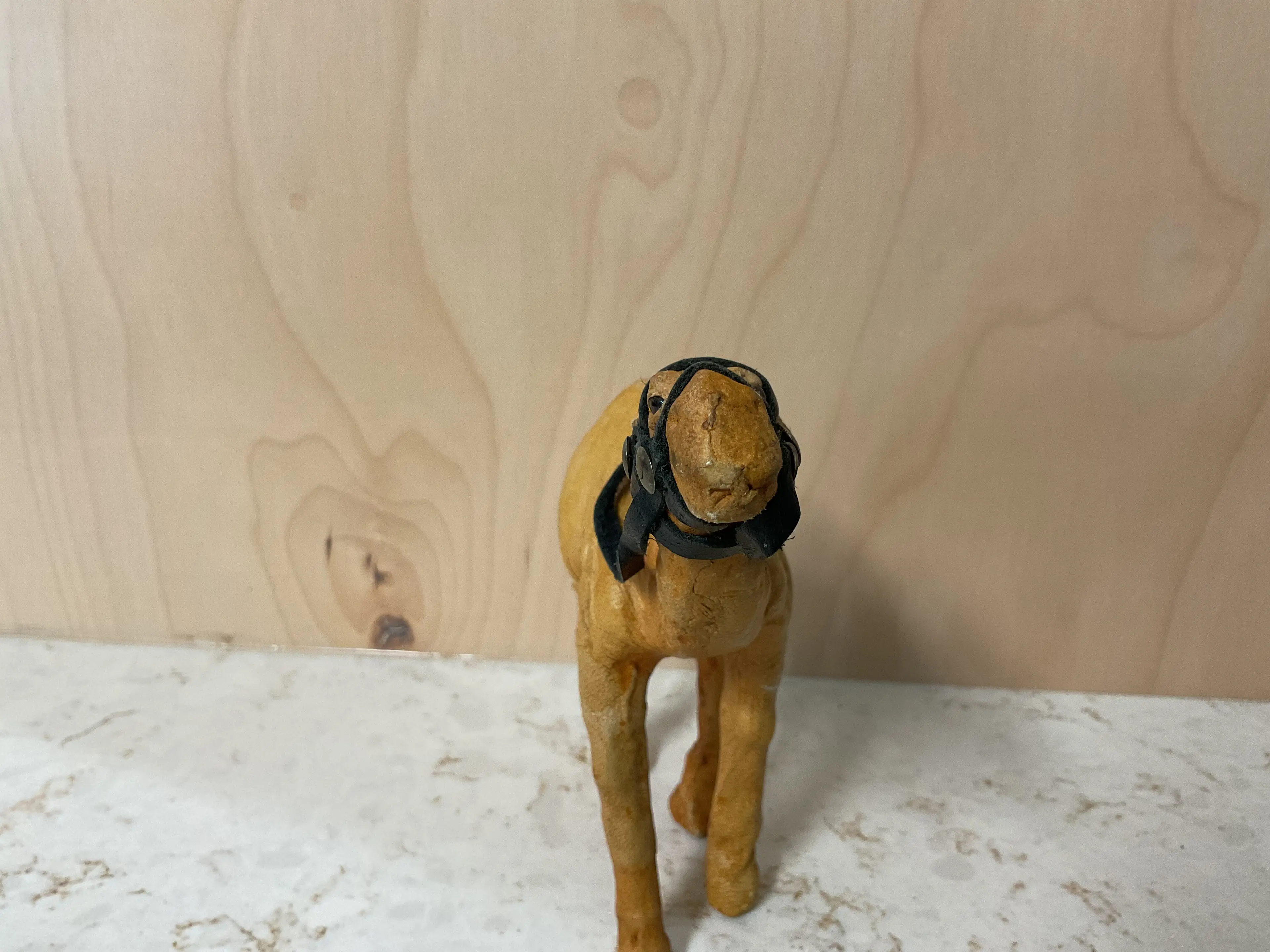 Image 4 of 11