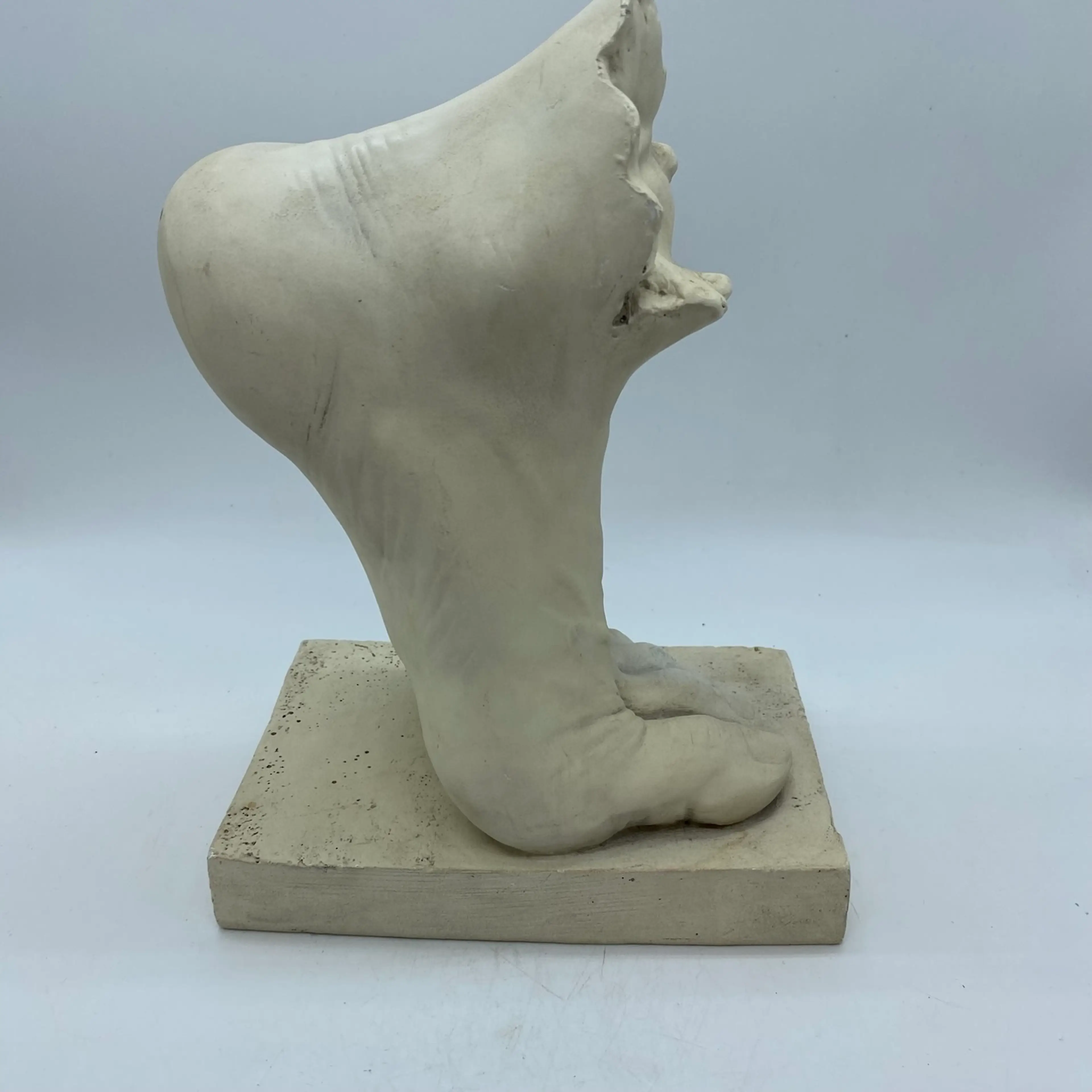 Image 5 of 6