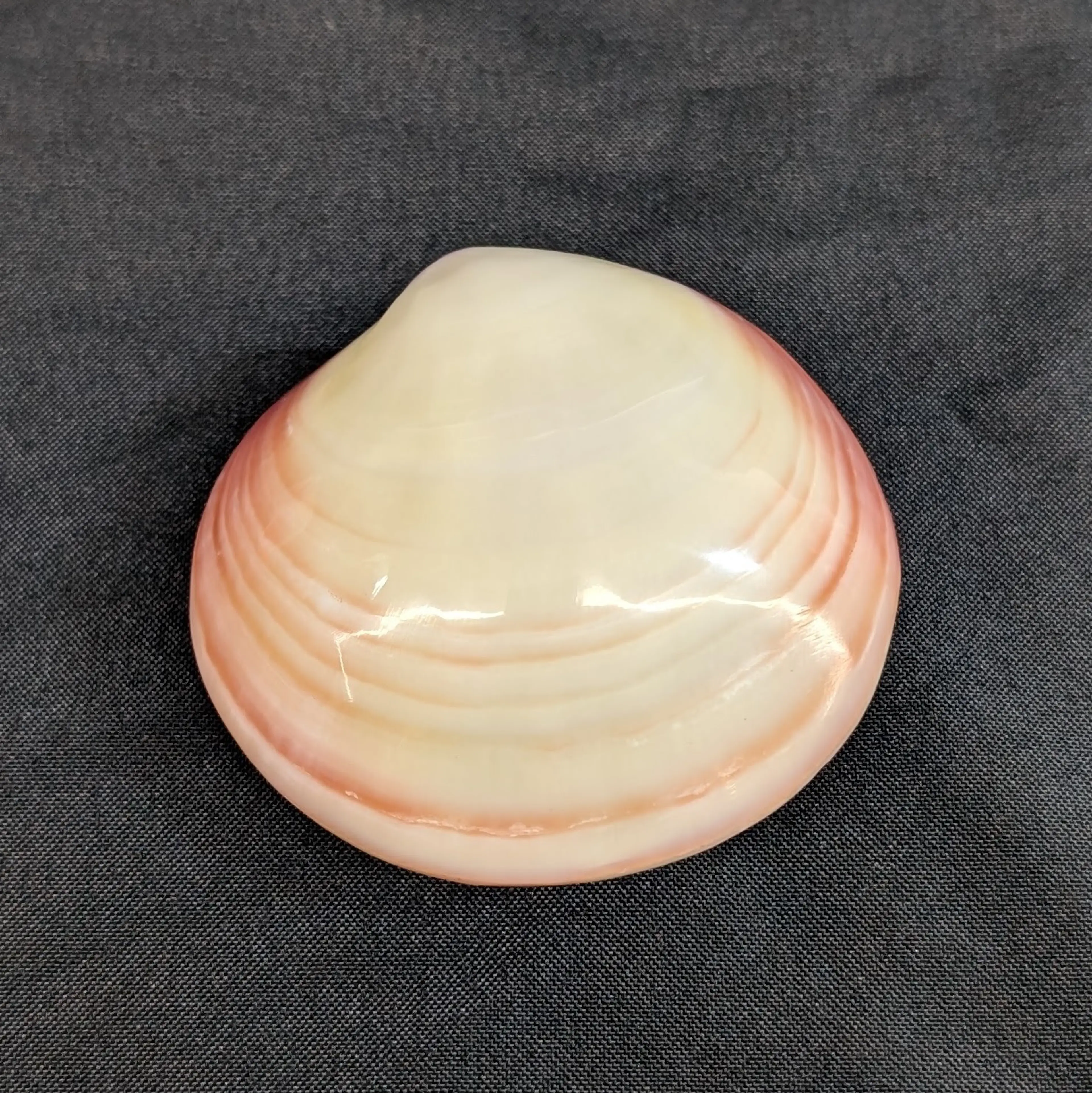 Image 2 of 10