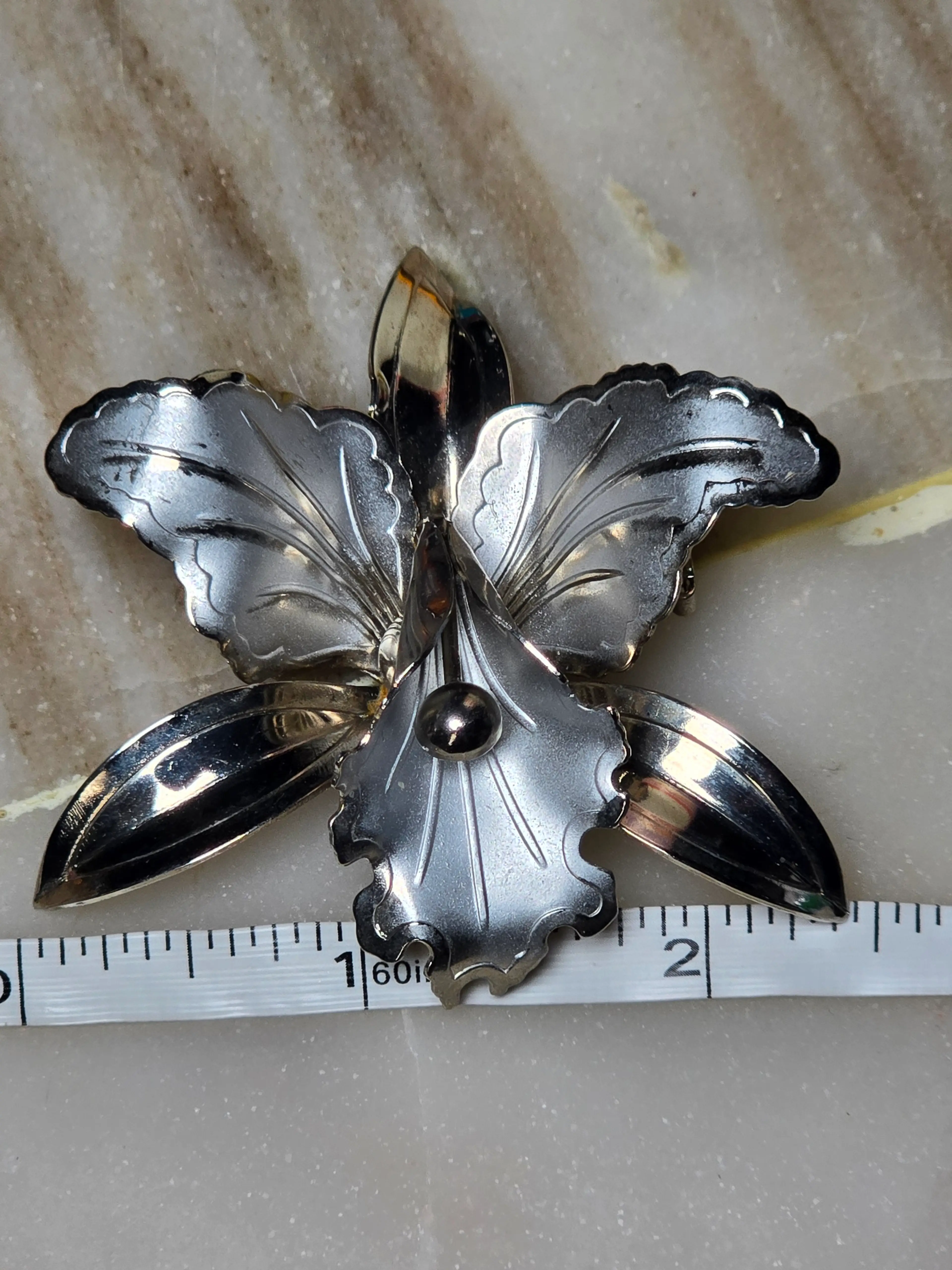Image 2 of 3
