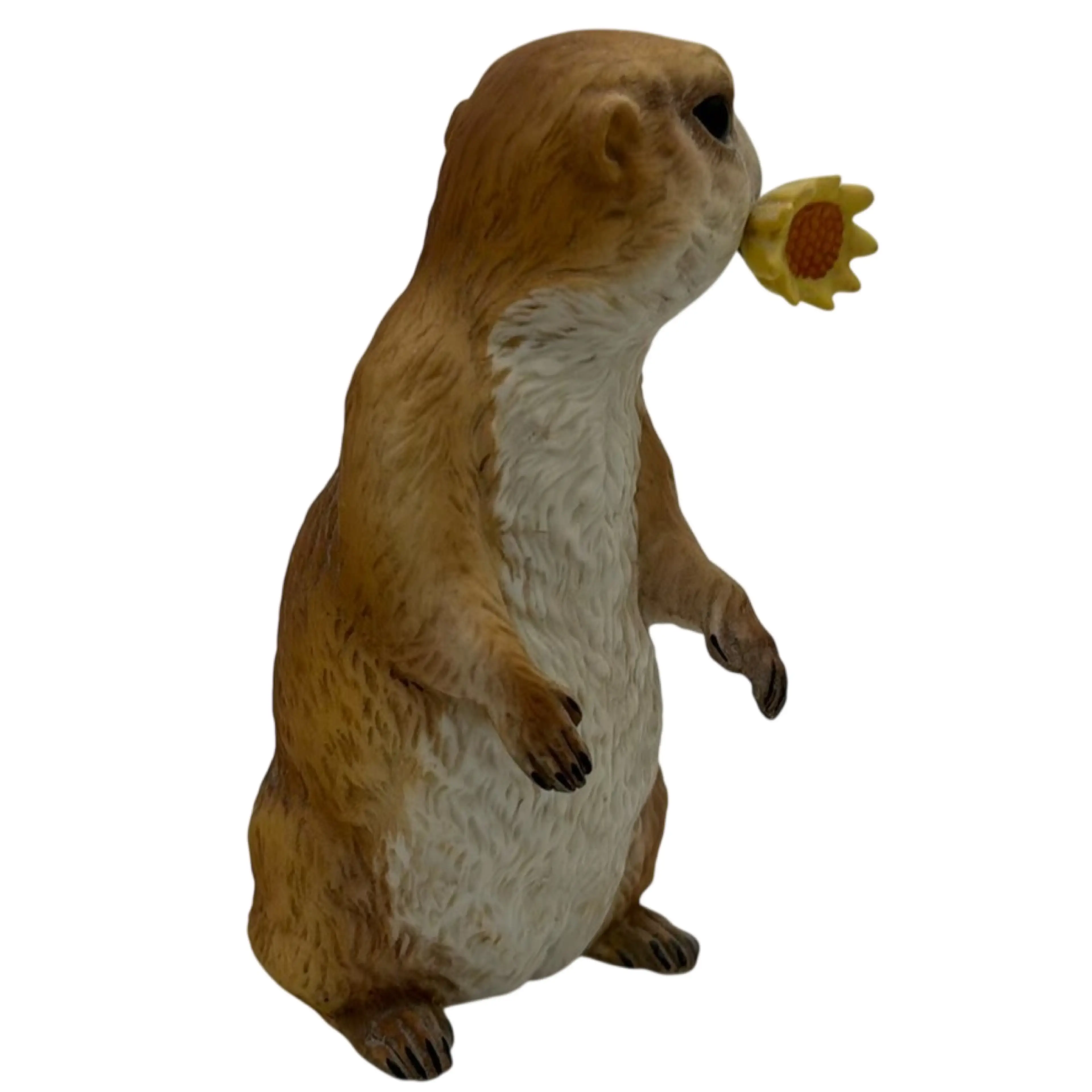 Image 4 of 8