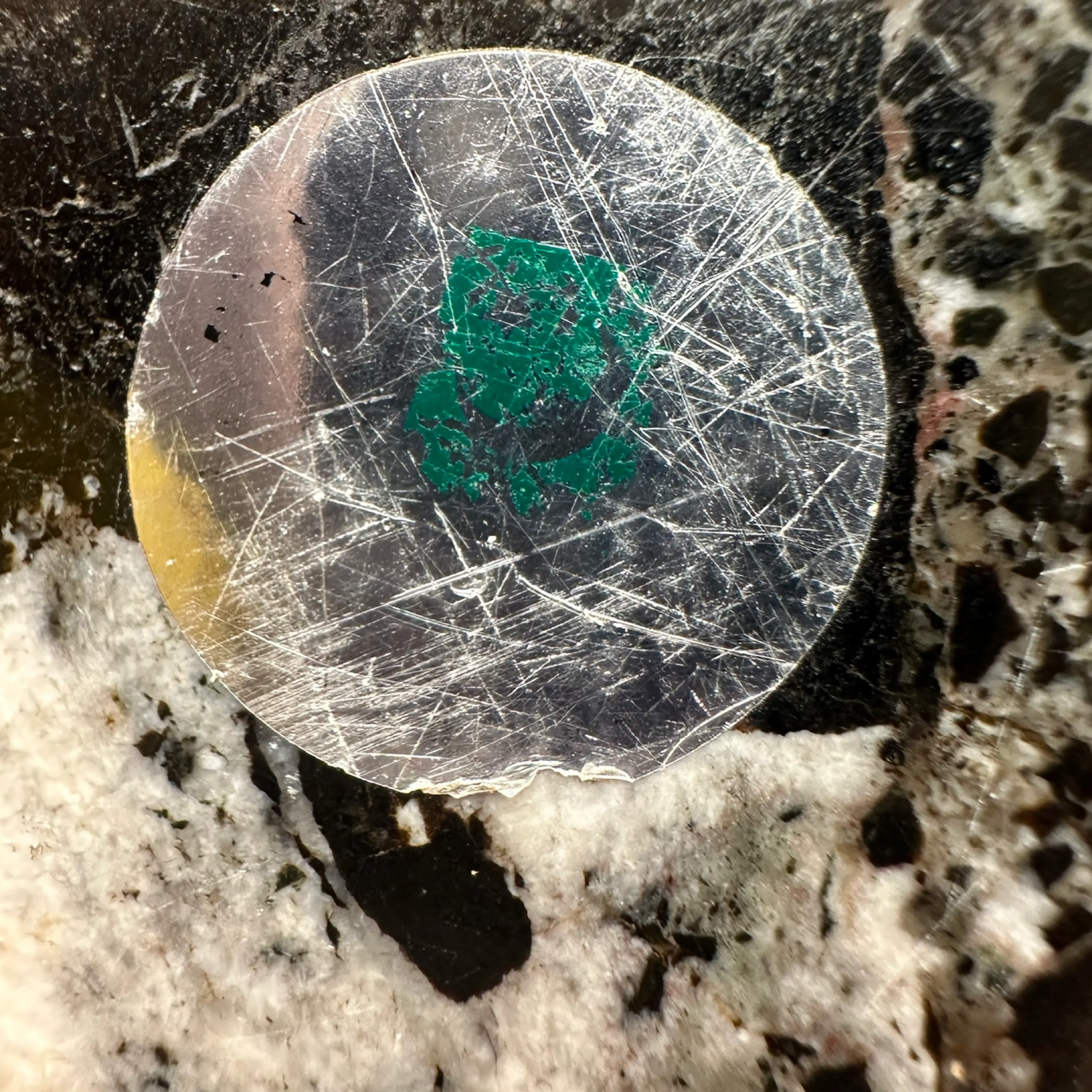 Image 5 of 5