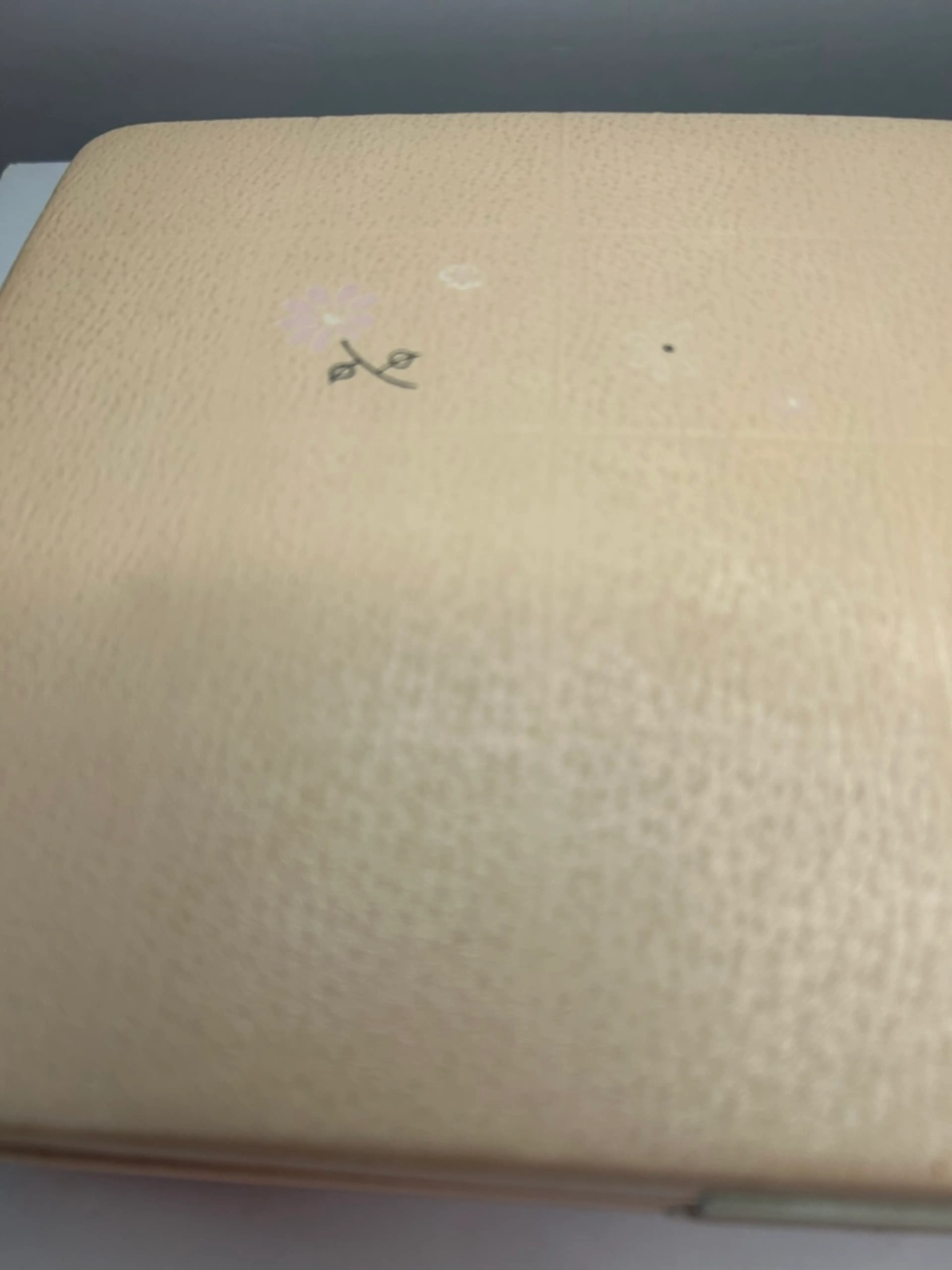 Image 2 of 10