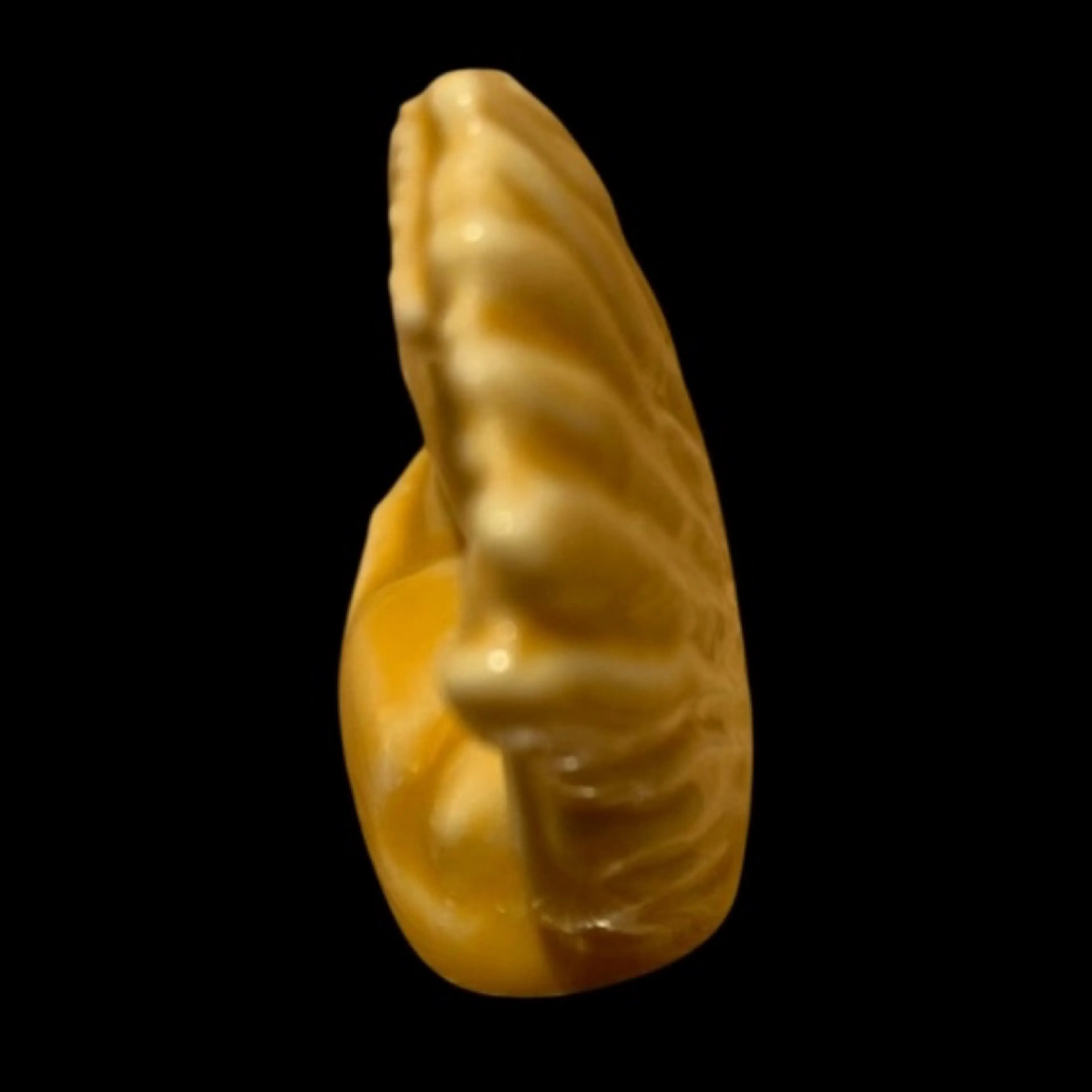 Image 2 of 5