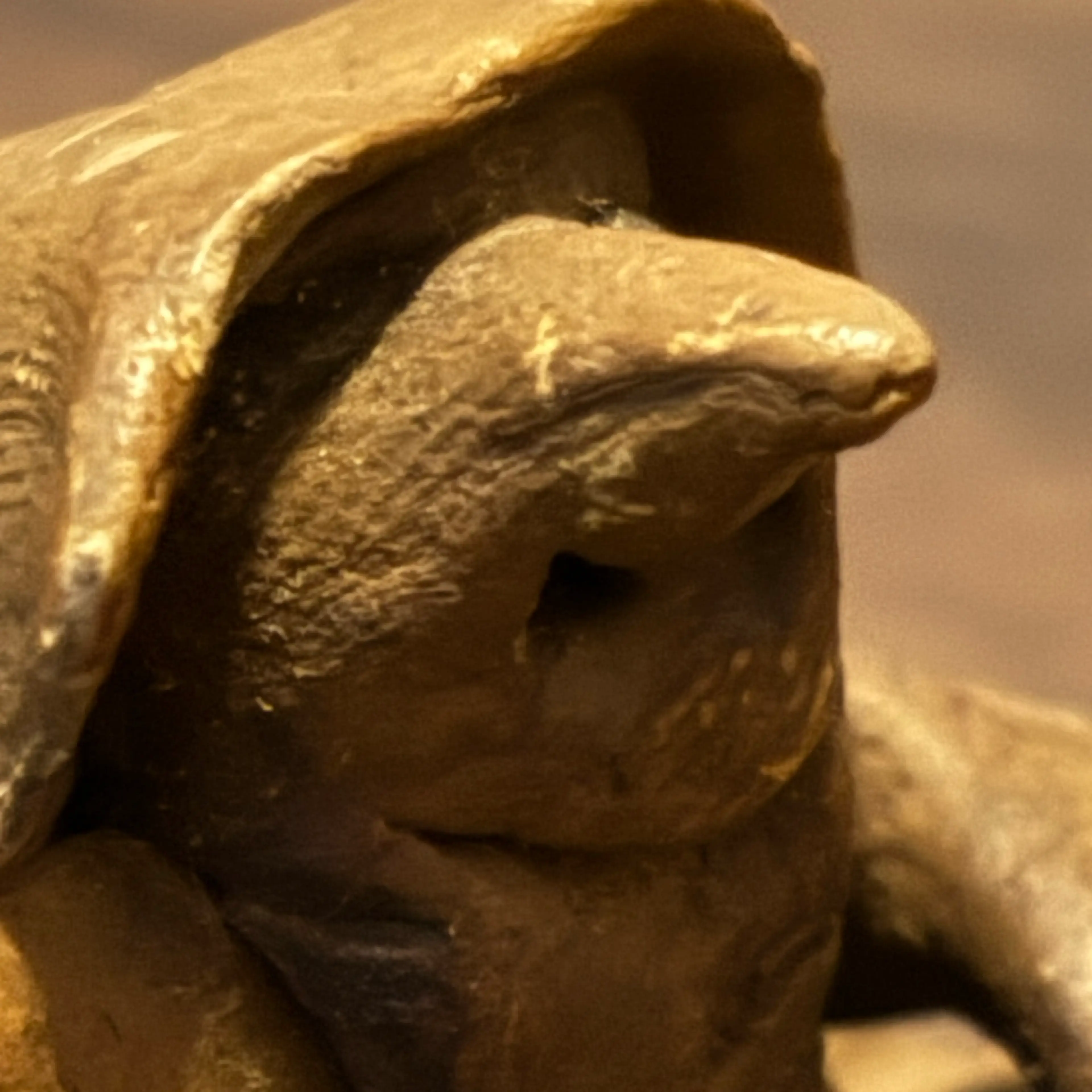 Image 2 of 5