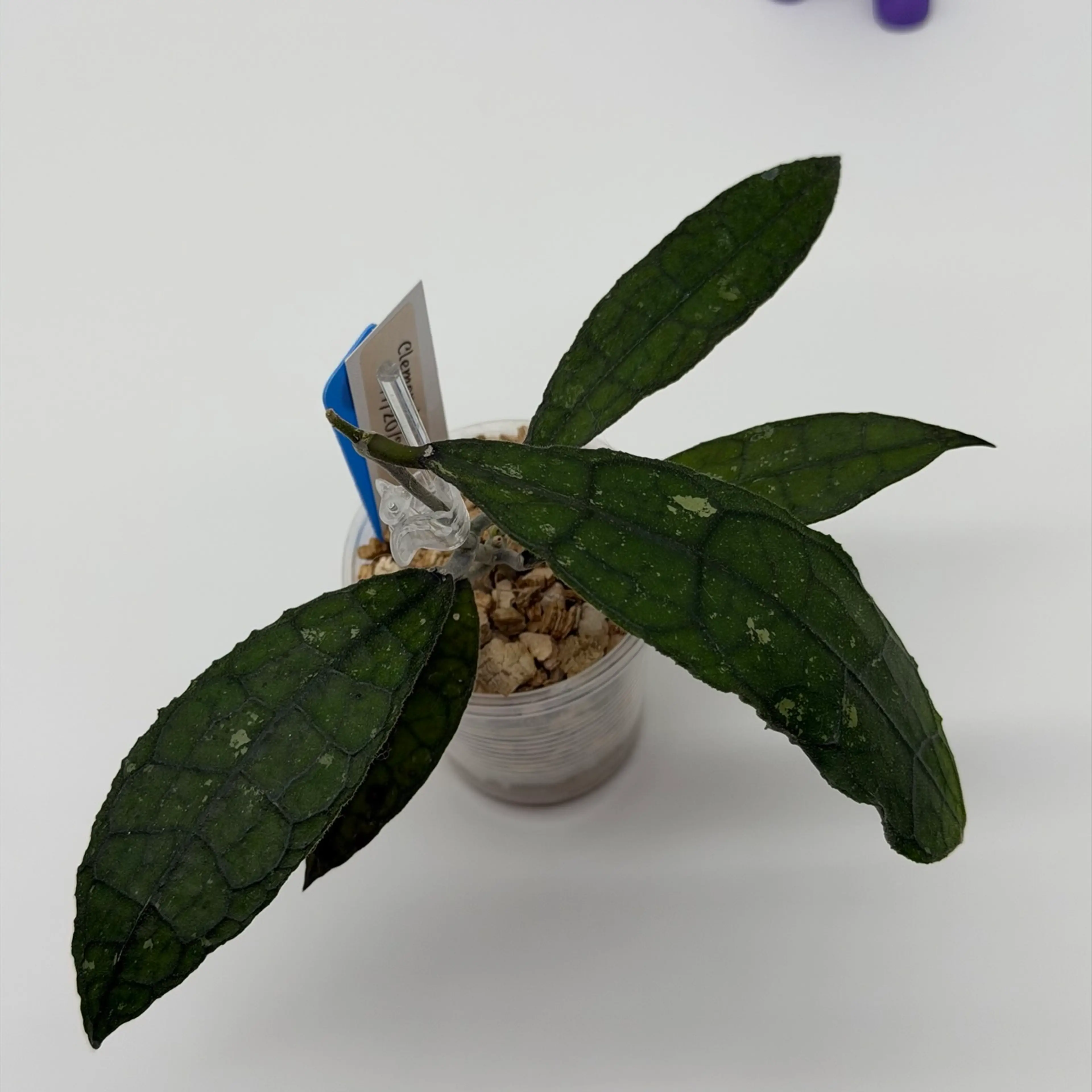 Image 2 of 4