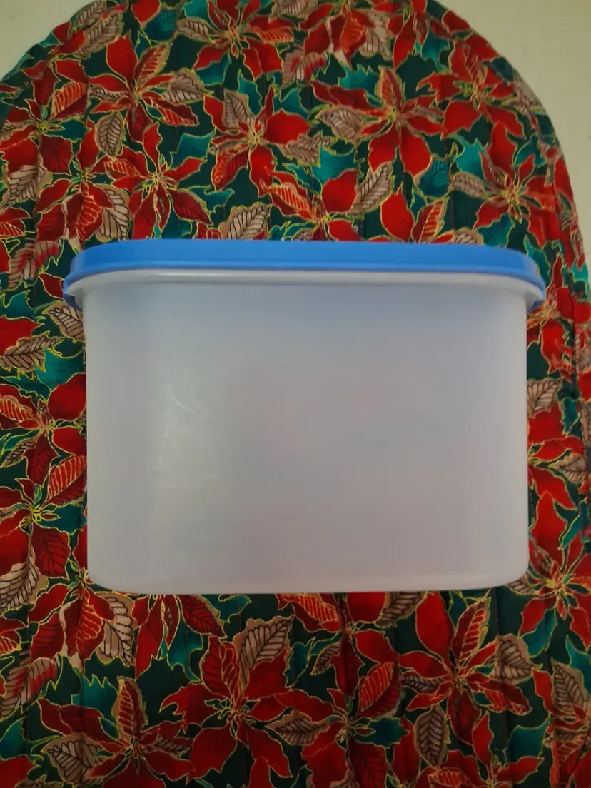 Vintage Tupperware Modular Mate Container #1612 with Blue Seal/Lid