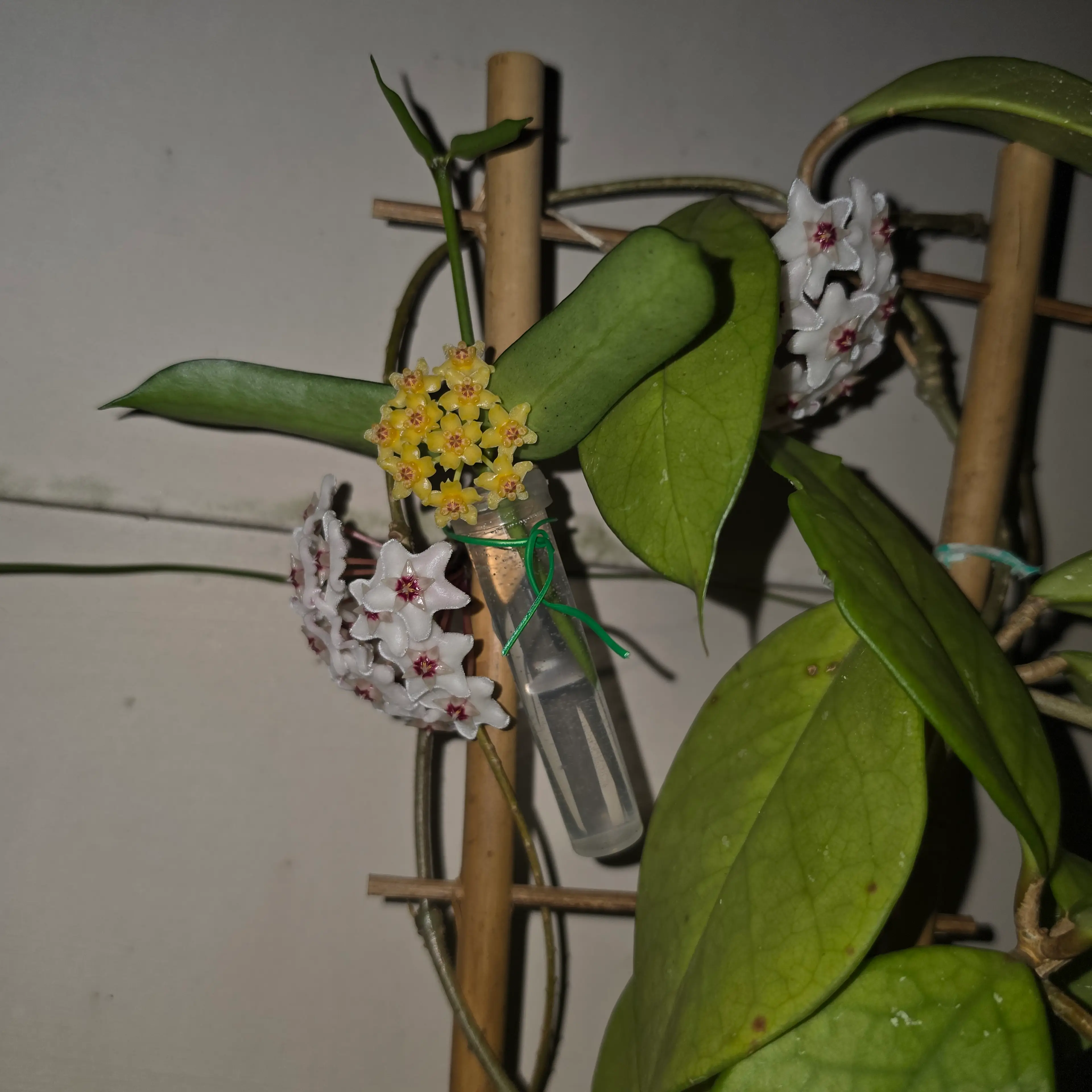 Image 5 of 5