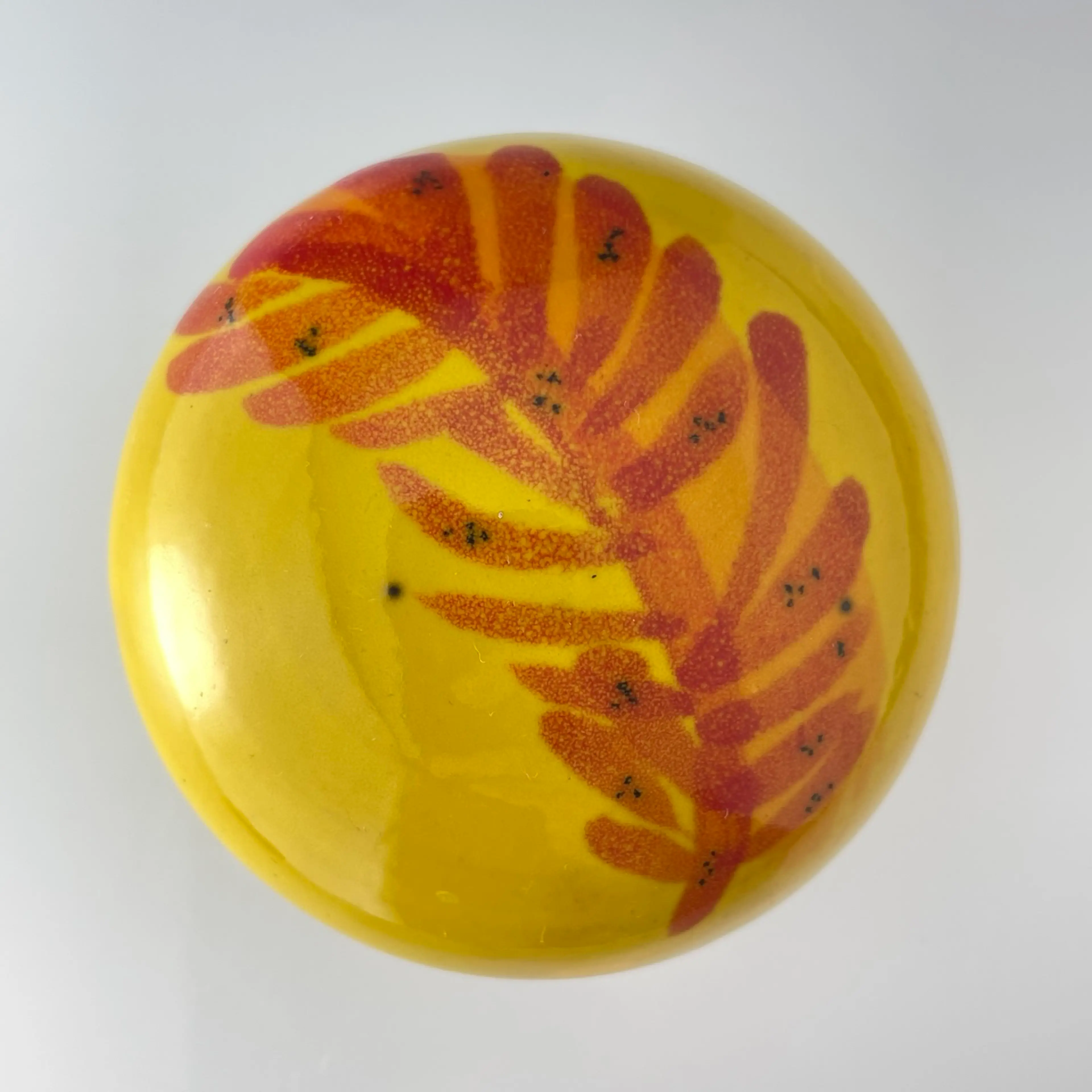 Image 1 of 15