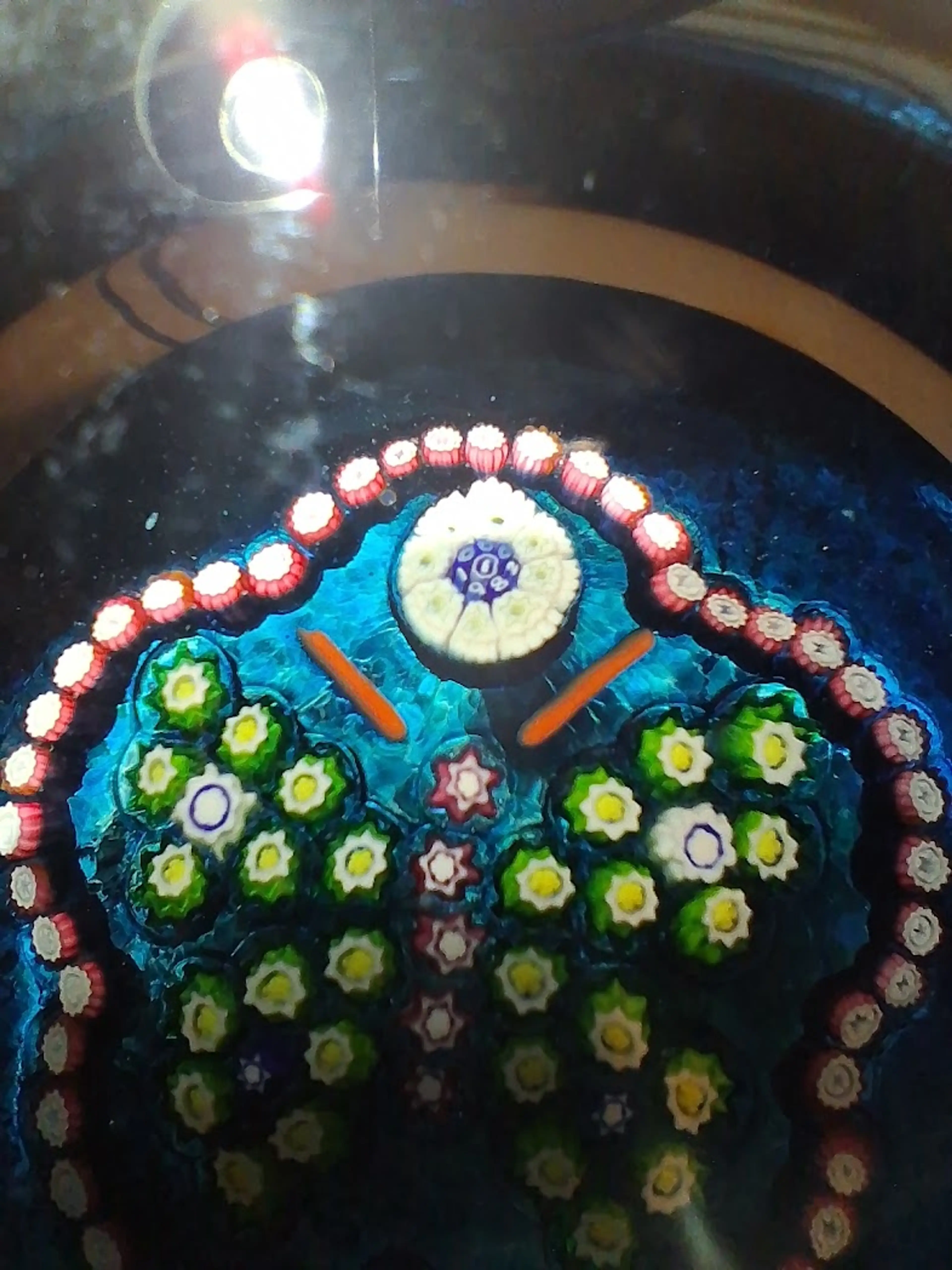 Image 5 of 14