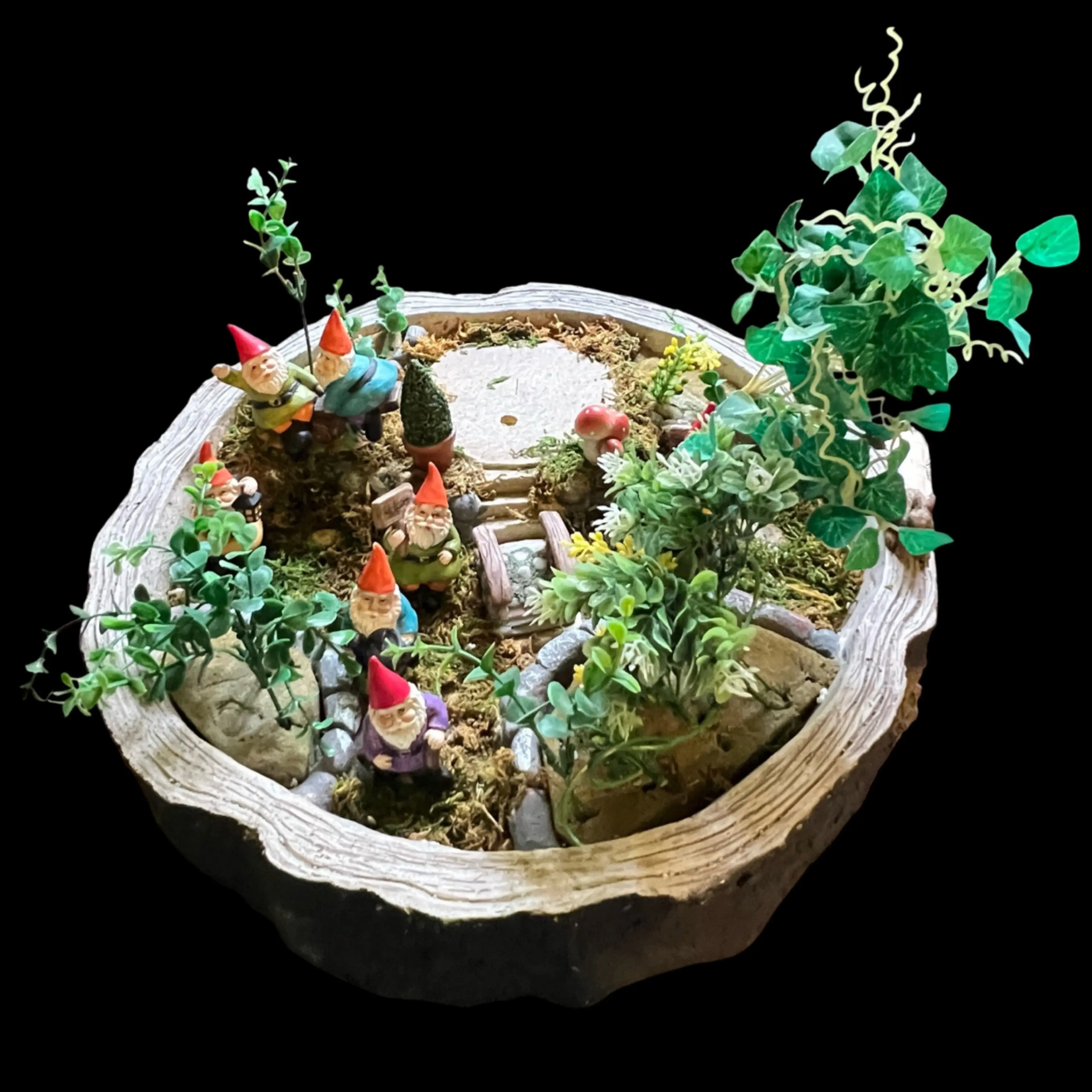 Image 2 of 25