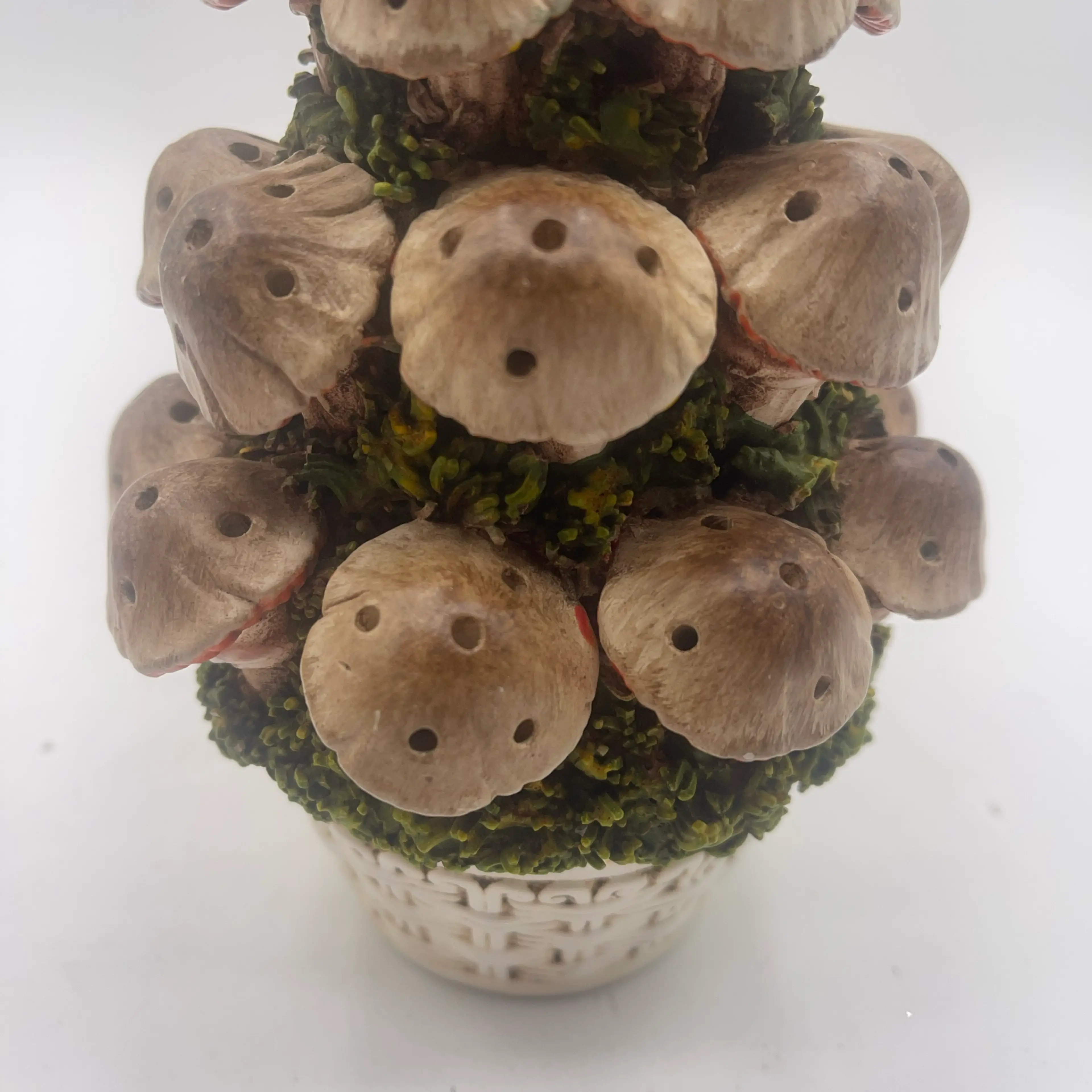Image 3 of 7