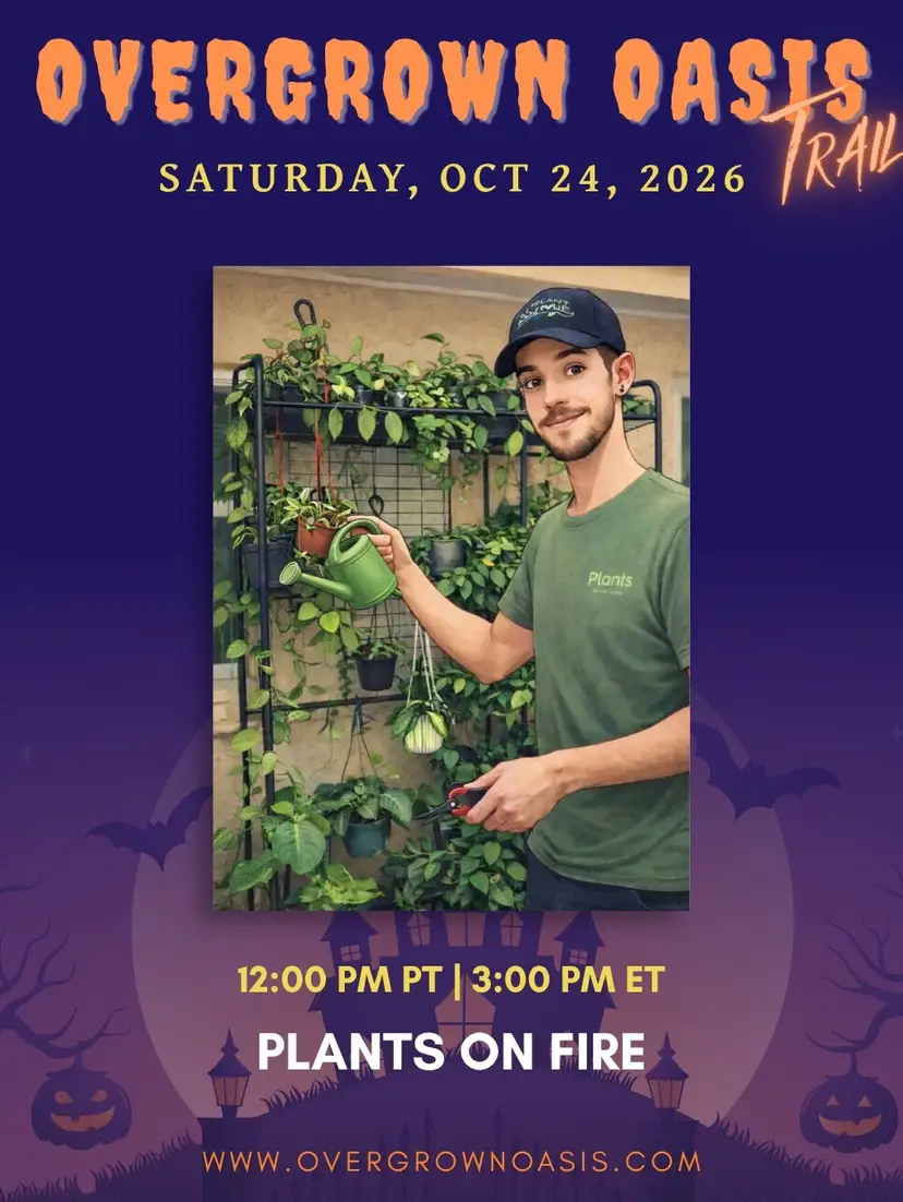Livestream thumbnail