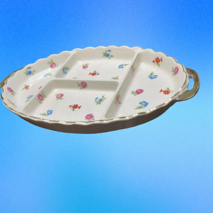 18. VINTAGE GOLDCASTLE CHIKUSA DIVIDED TRAY