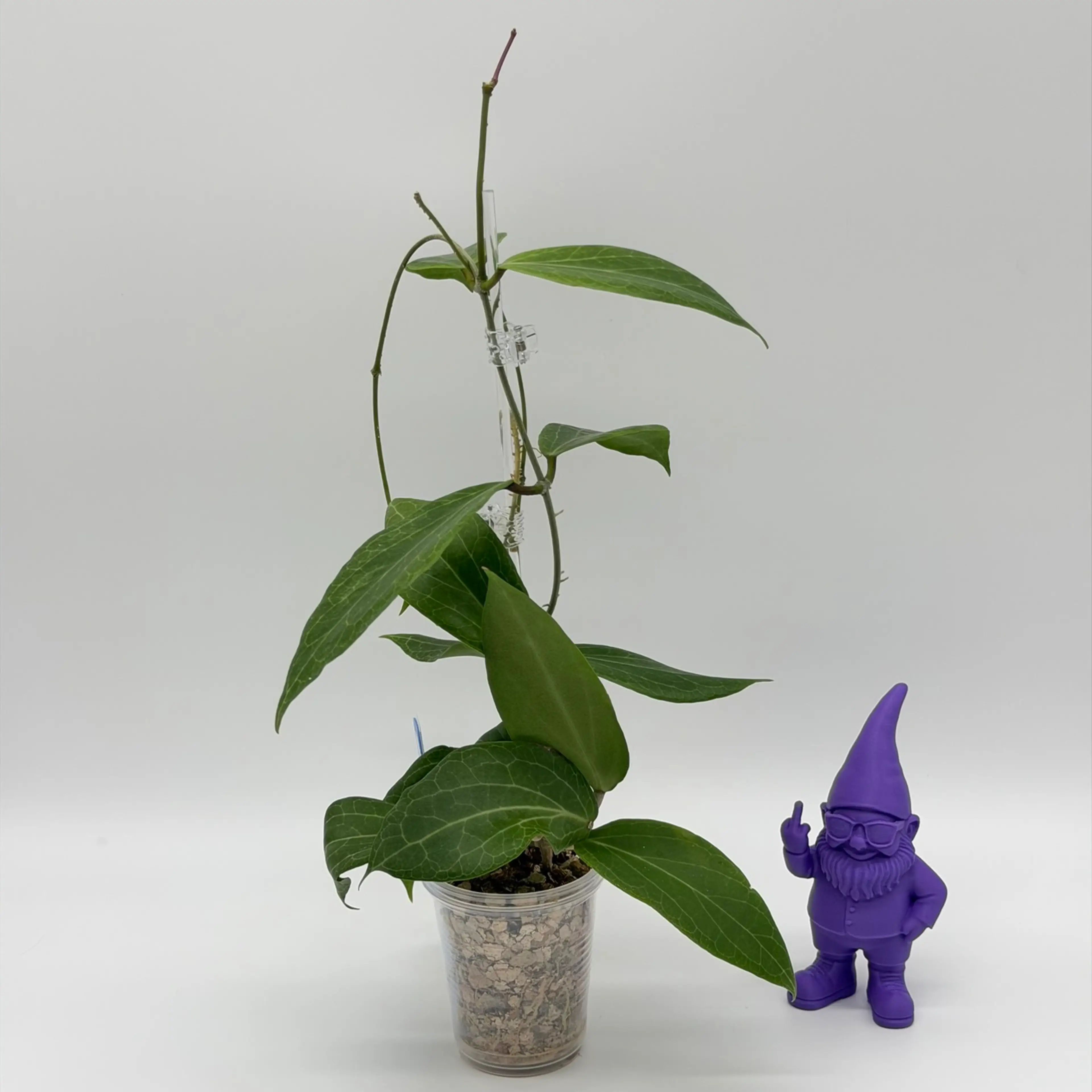 Image 2 of 4