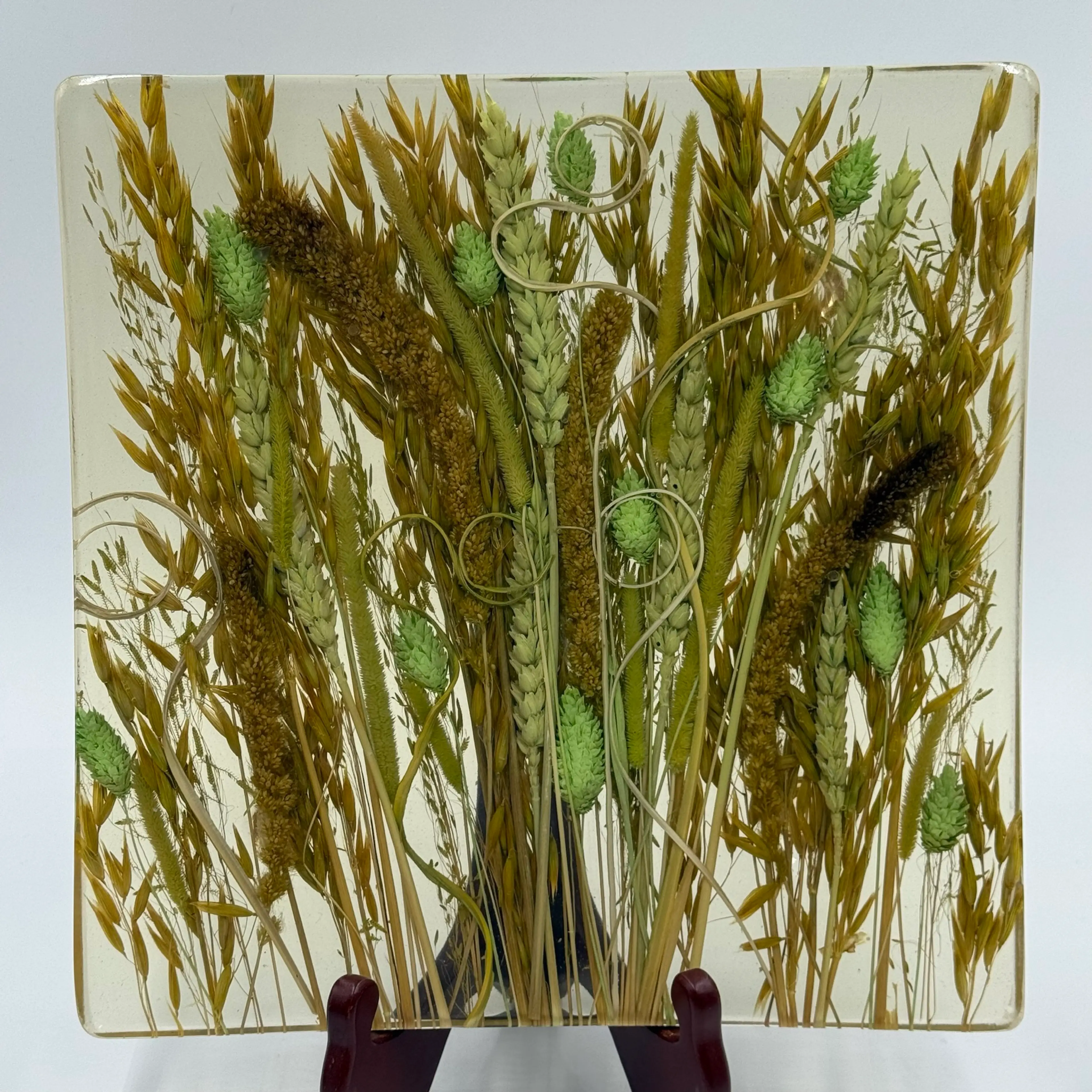 Image 1 of 15
