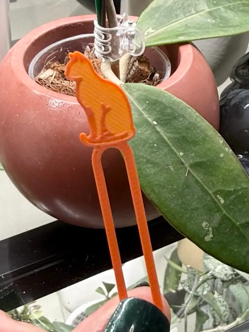 Propagation Pins - Orange Cats (24-Pack)