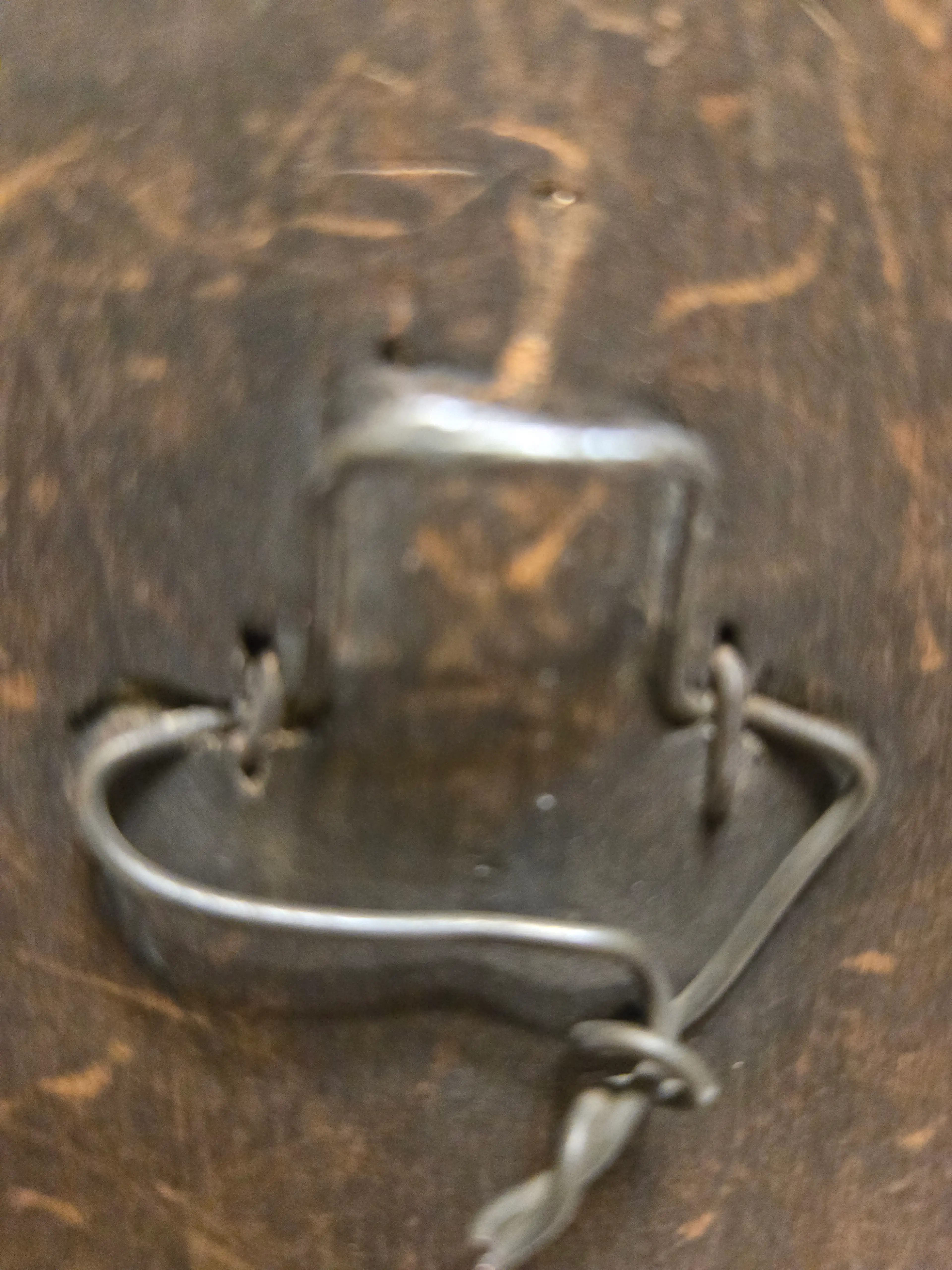 Image 3 of 8
